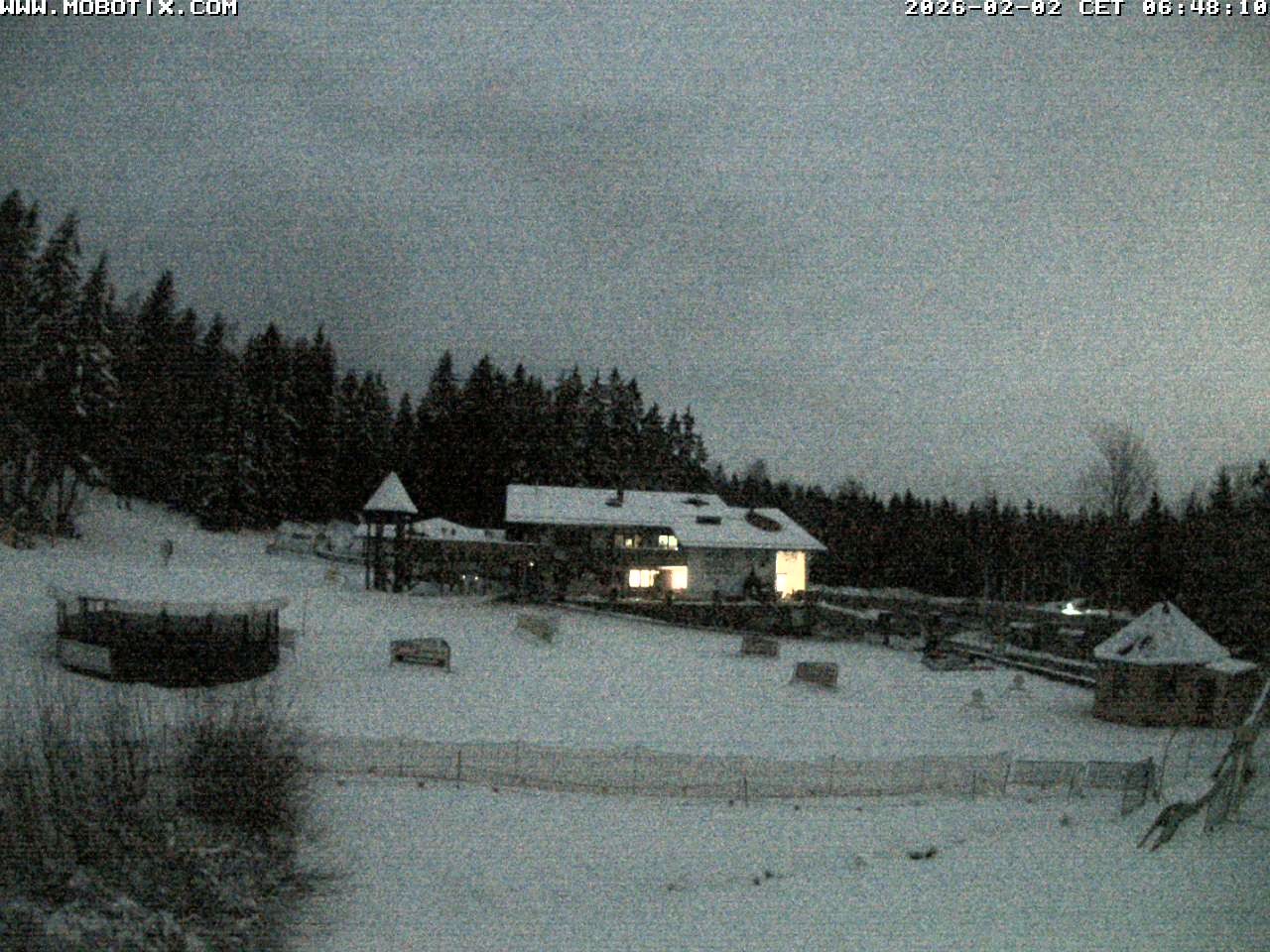 Archiv Foto Webcam Blick zur Talstation am Hohenbogen