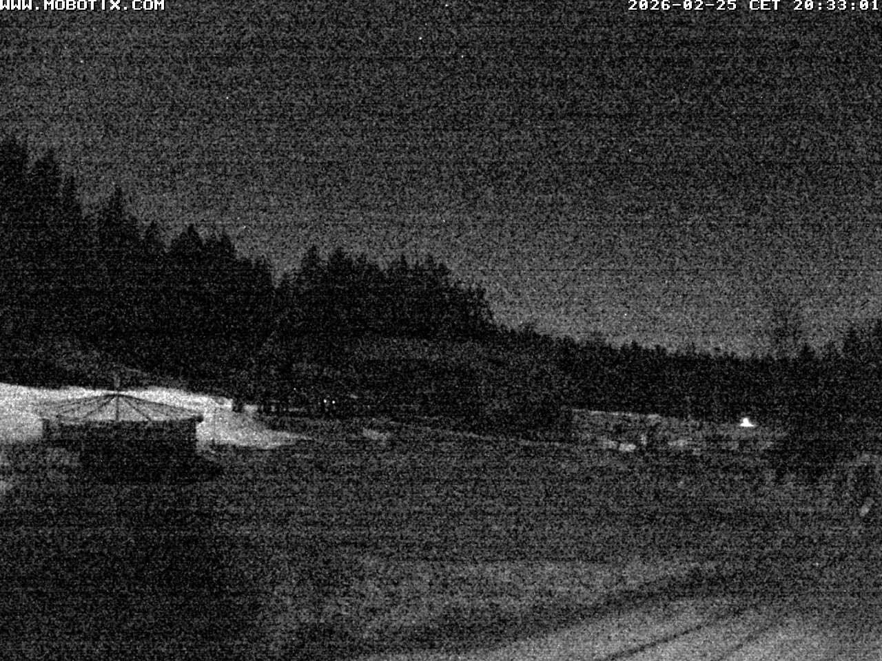 Archiv Foto Webcam Blick zur Talstation am Hohenbogen