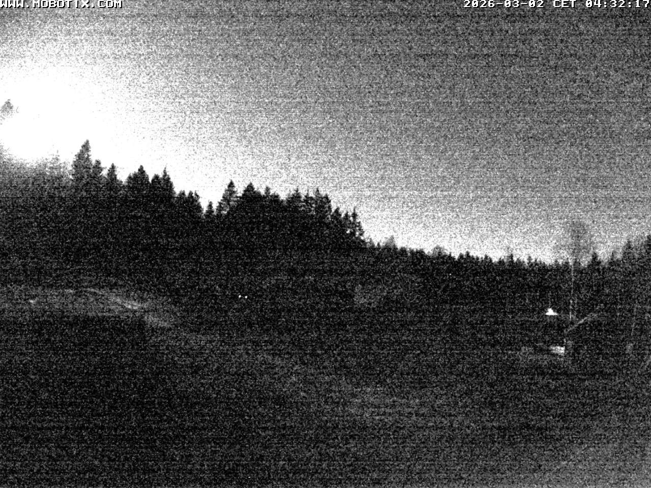 Archiv Foto Webcam Blick zur Talstation am Hohenbogen