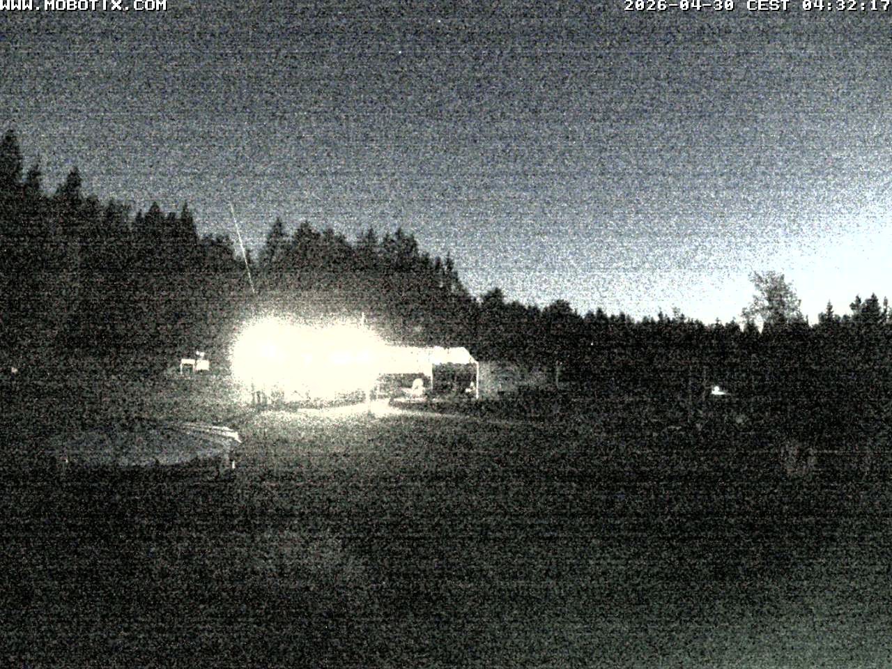 Archiv Foto Webcam Blick zur Talstation am Hohenbogen