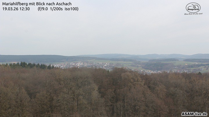 Archiv Foto Webcam Aschach - Mariahilfberg