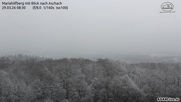Archiv Foto Webcam Aschach - Mariahilfberg