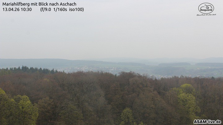 Archiv Foto Webcam Aschach - Mariahilfberg