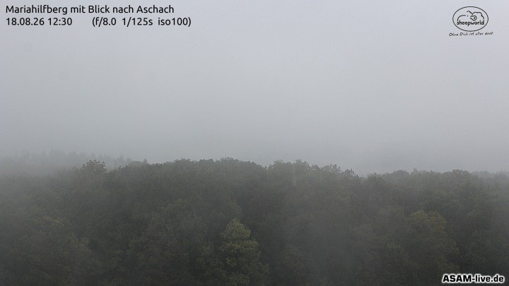 Archiv Foto Webcam Aschach - Mariahilfberg