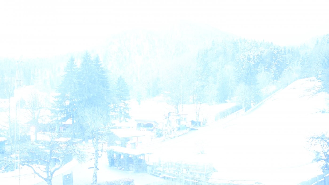 Archived image Webcam Dry Toboggan in Marquartstein