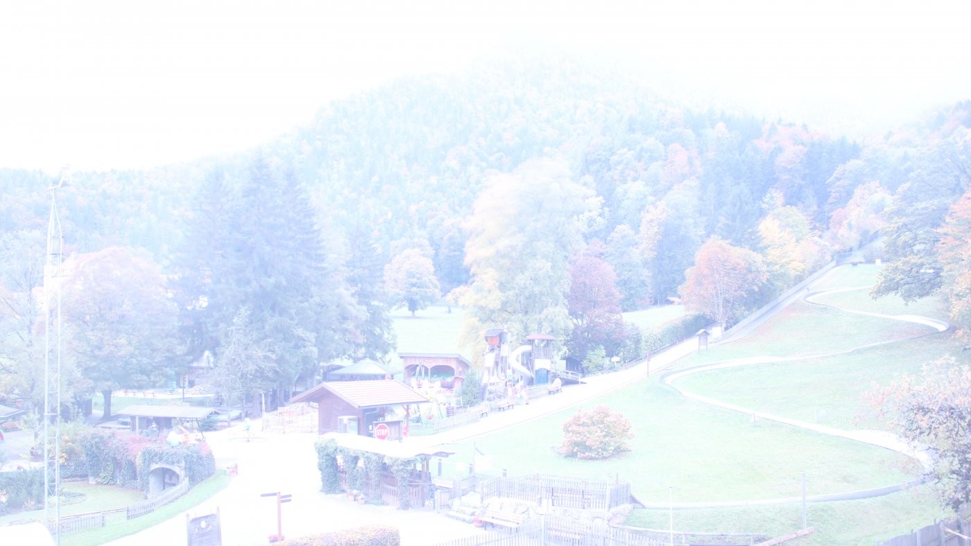 Archived image Webcam Dry Toboggan in Marquartstein