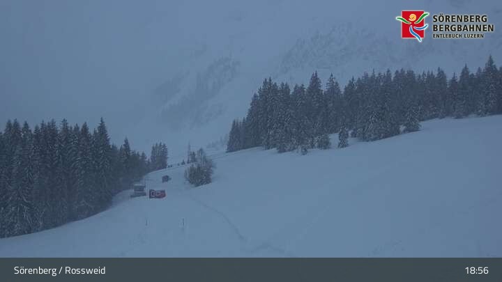 Archiv Foto Webcam Rossweid / Sörenberg