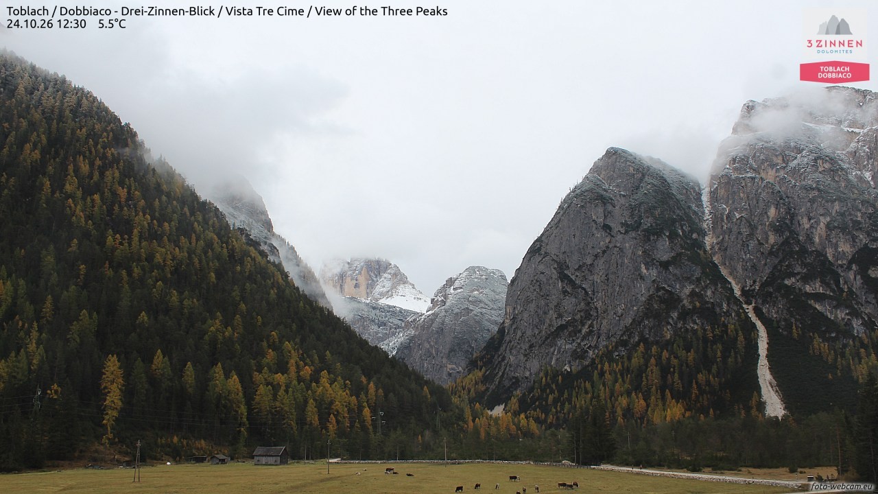 Archiv Foto Webcam Toblach (Drei Zinnen)