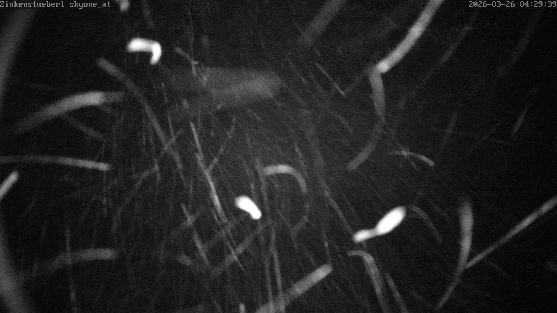 Archiv Foto Webcam Zinkenstüberl Bad Dürrnberg