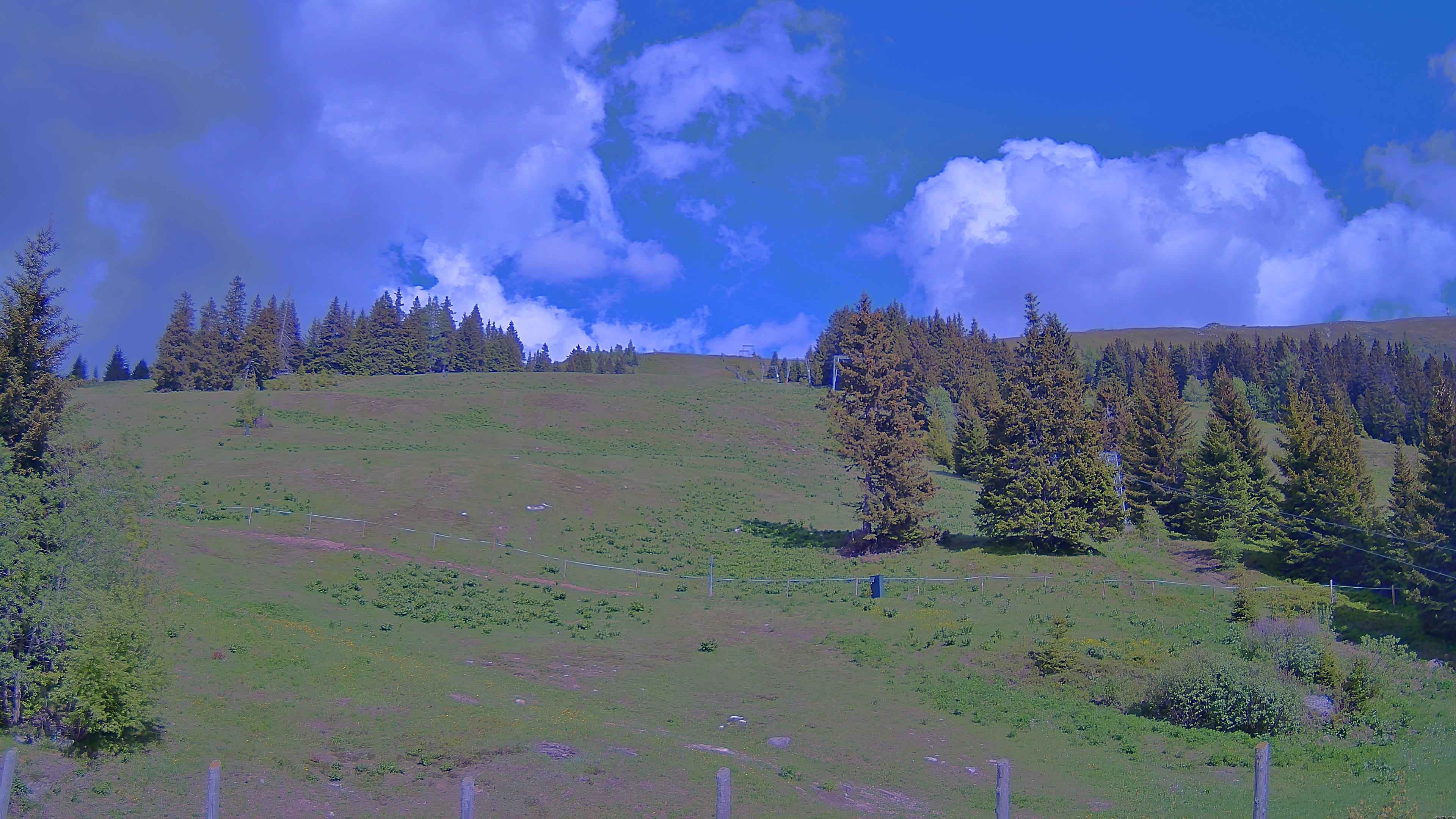 Archiv Foto Webcam Koralpe: Blick Talstation