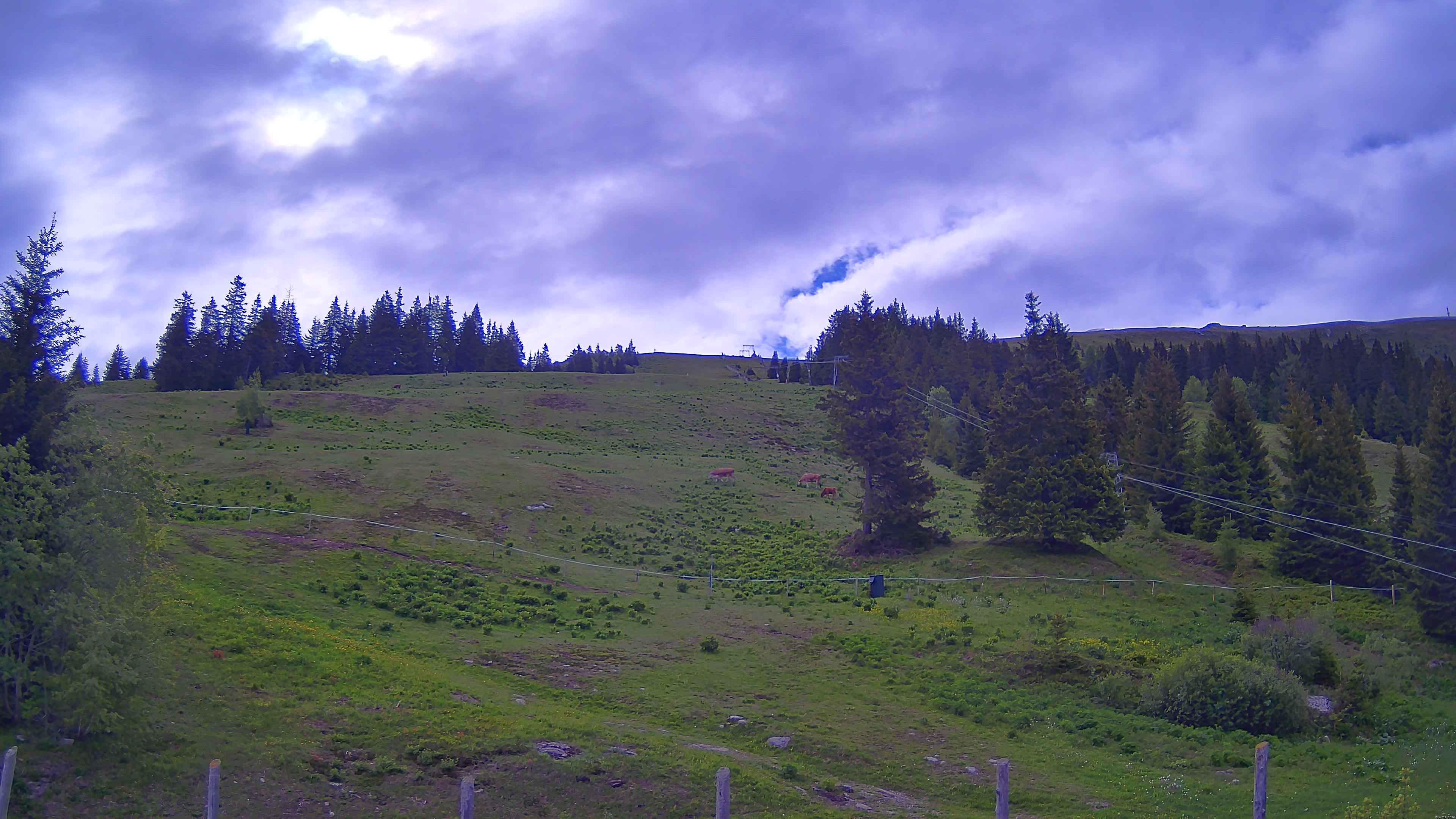 Archiv Foto Webcam Koralpe: Blick Talstation