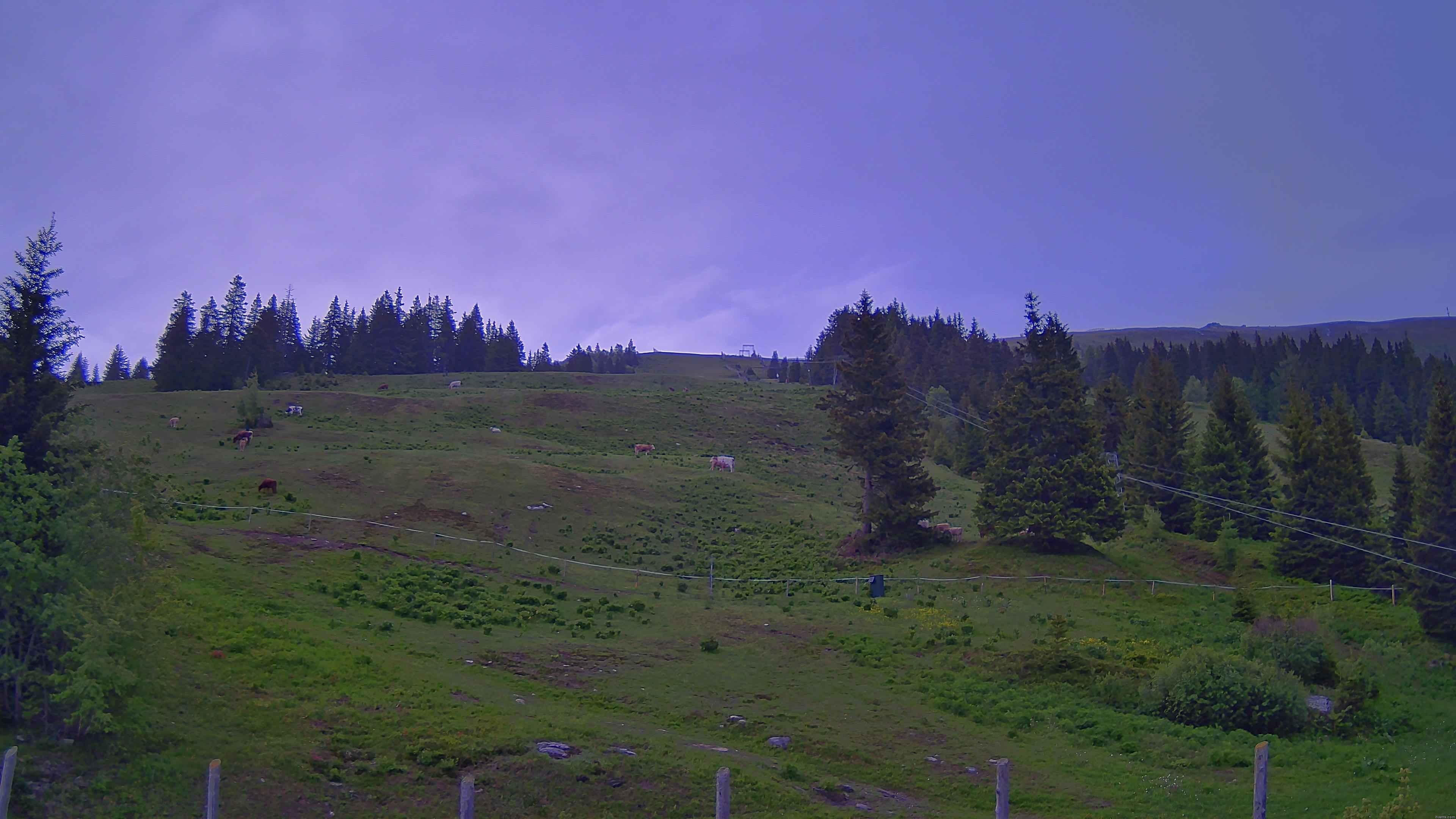 Archiv Foto Webcam Koralpe: Blick Talstation