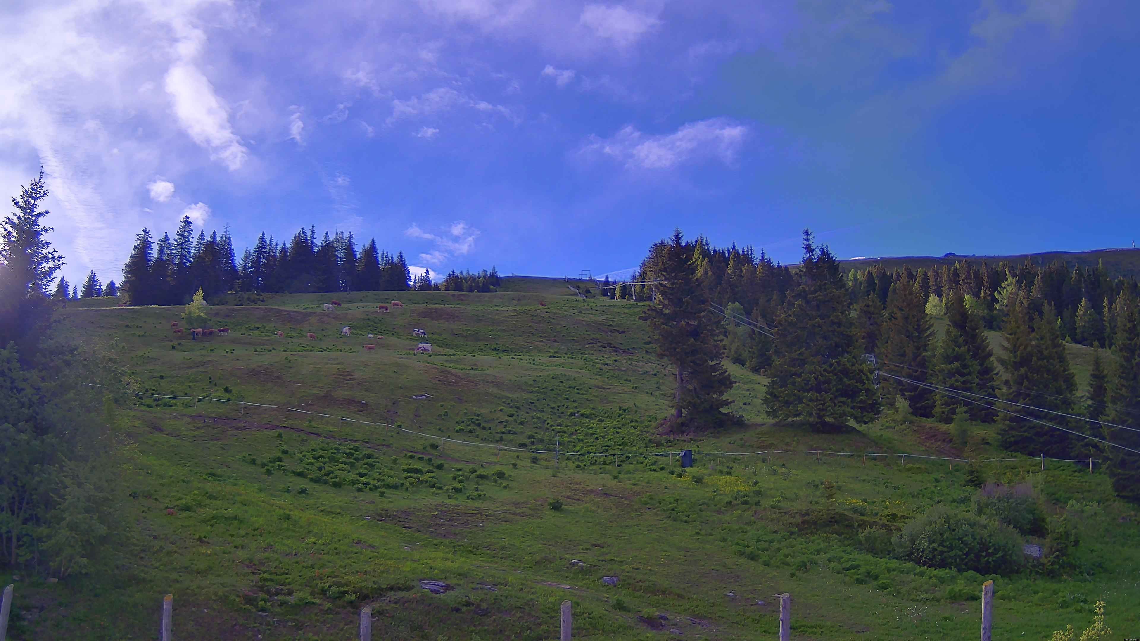 Archiv Foto Webcam Koralpe: Blick Talstation