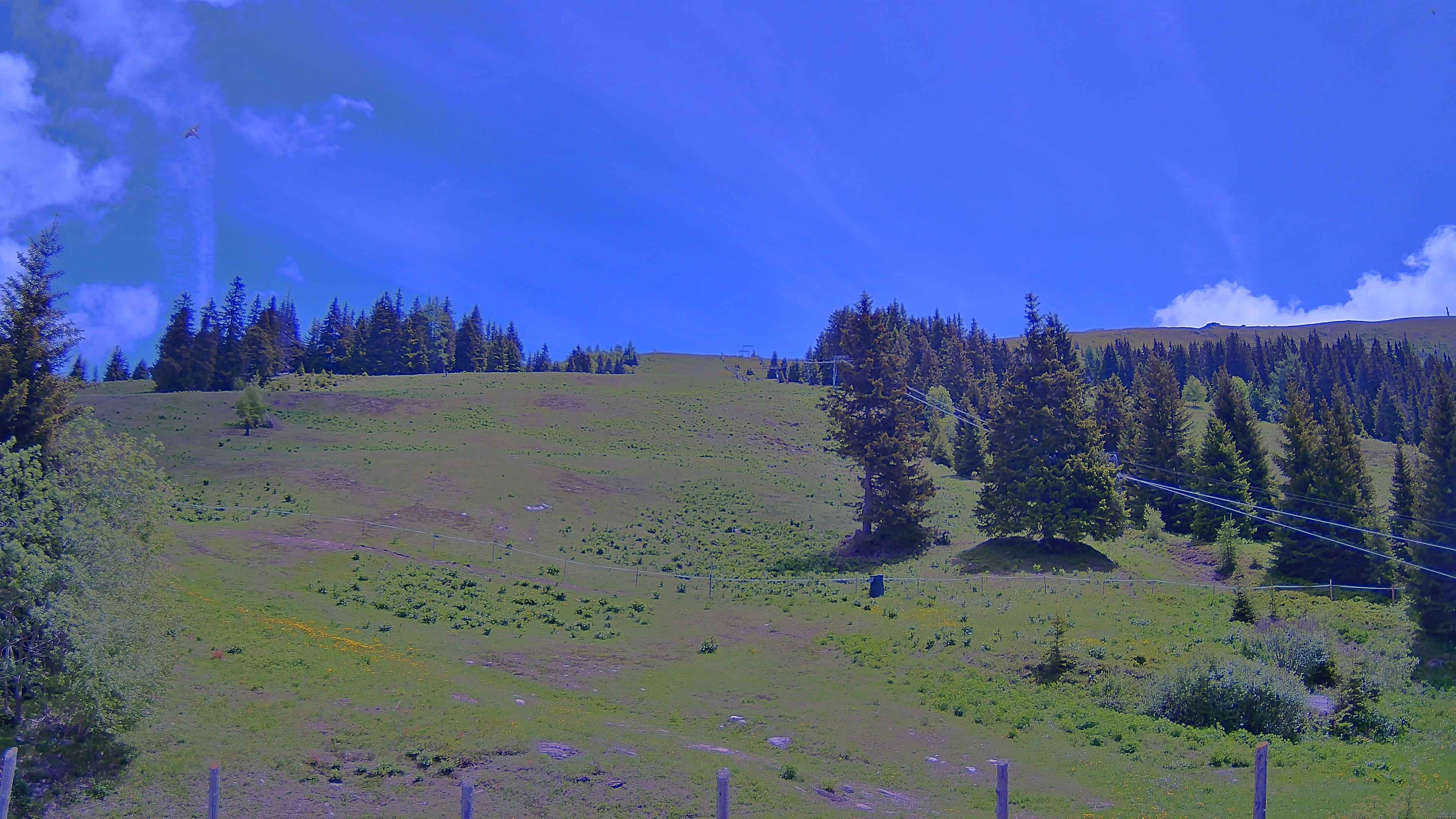 Archiv Foto Webcam Koralpe: Blick Talstation