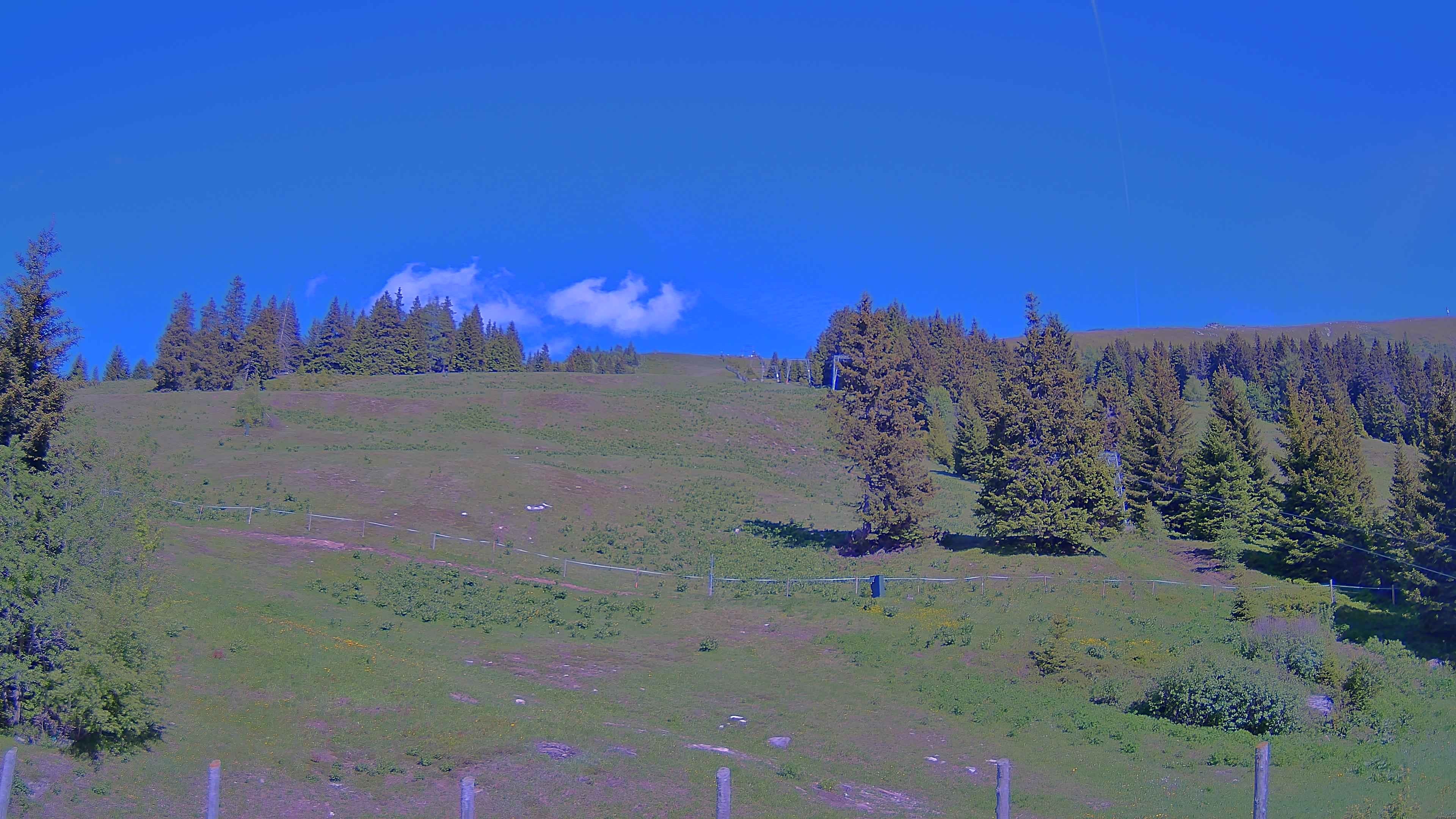 Archiv Foto Webcam Koralpe: Blick Talstation