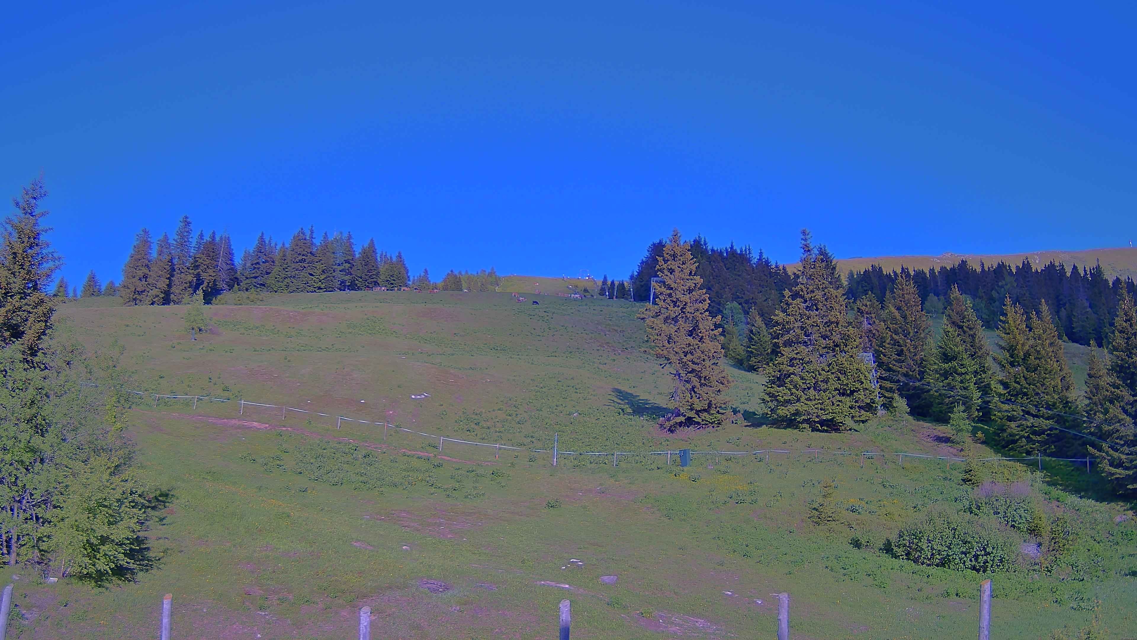 Archiv Foto Webcam Koralpe: Blick Talstation
