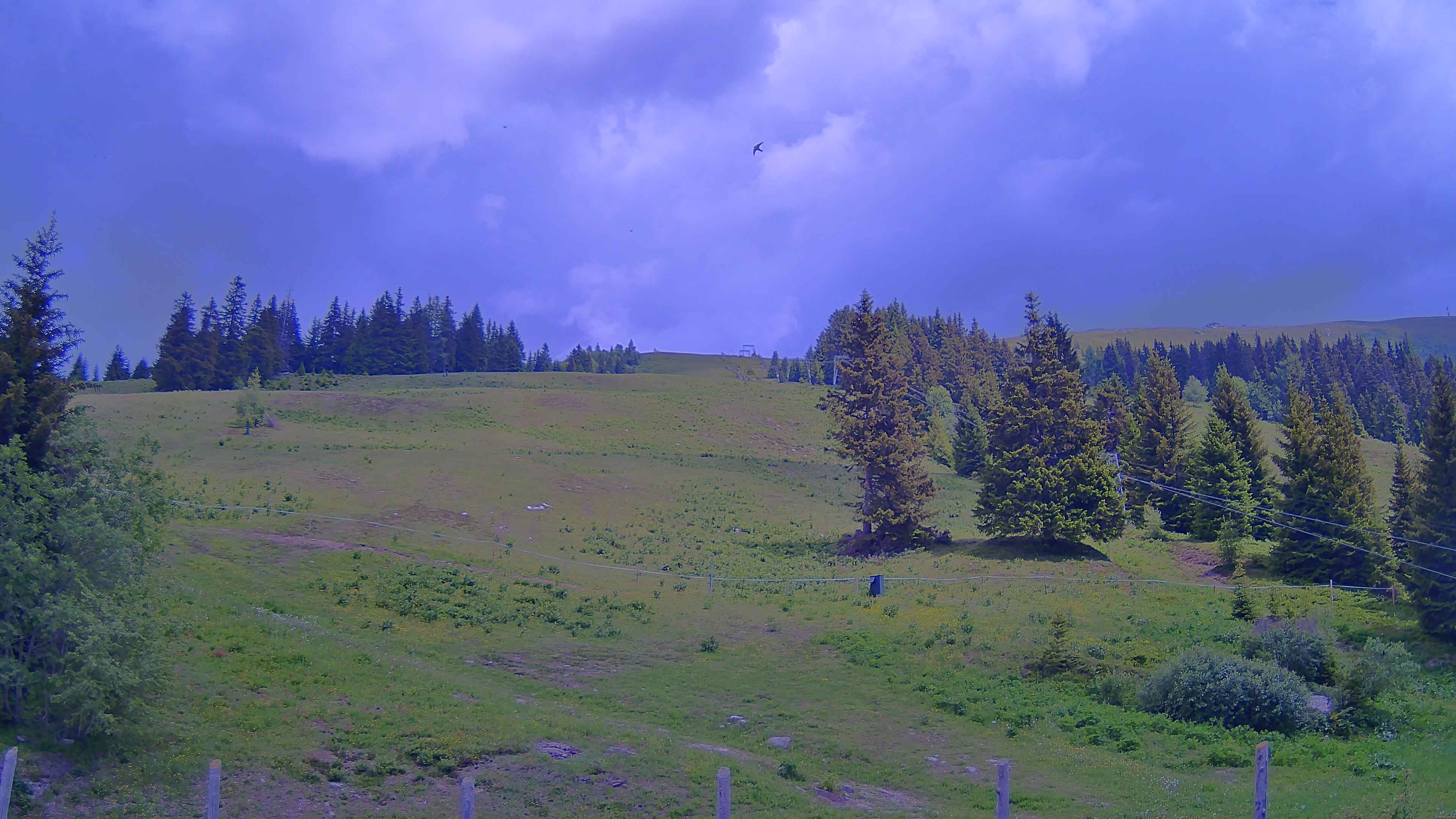 Archiv Foto Webcam Koralpe: Blick Talstation