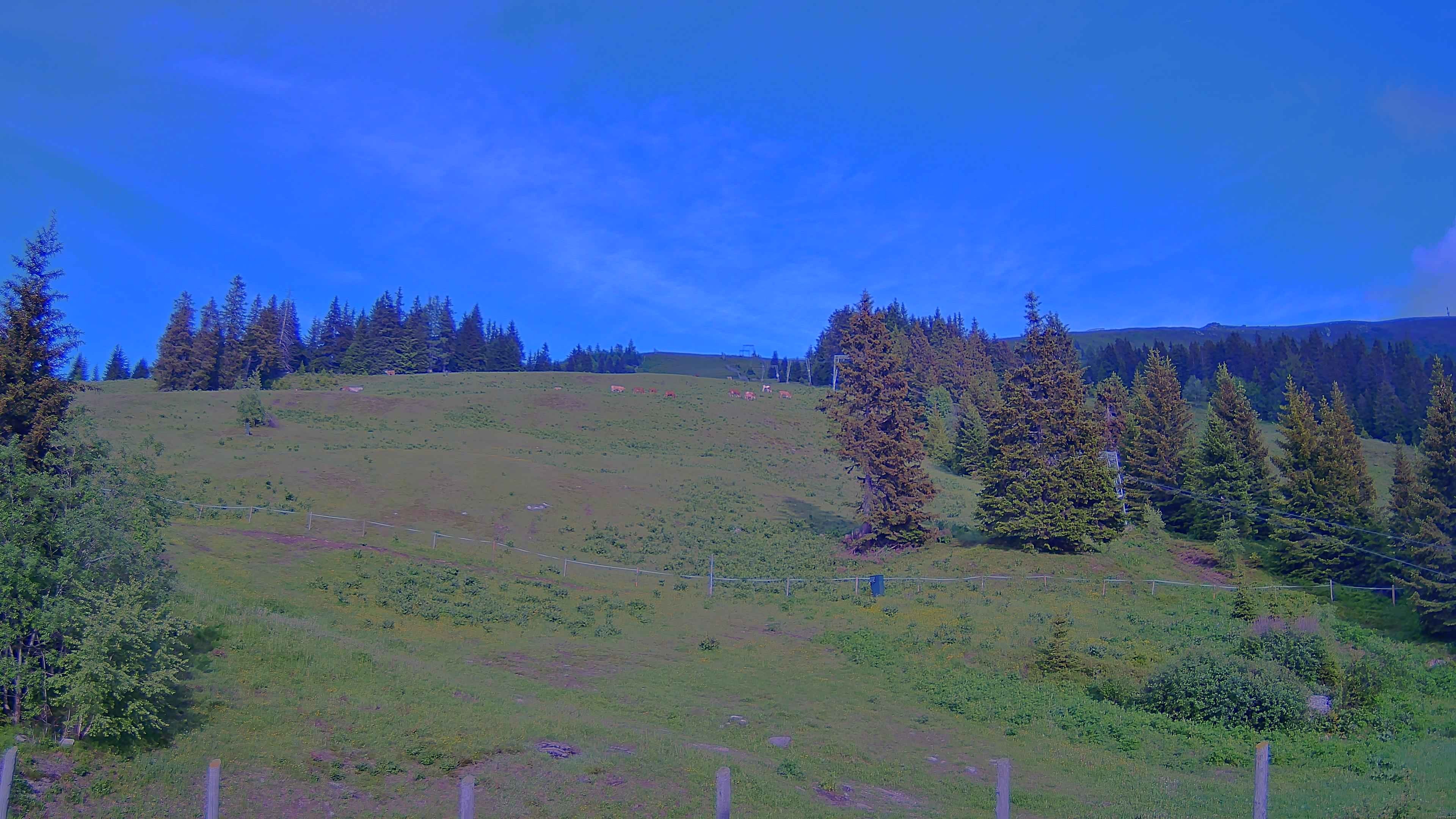 Archiv Foto Webcam Koralpe: Blick Talstation
