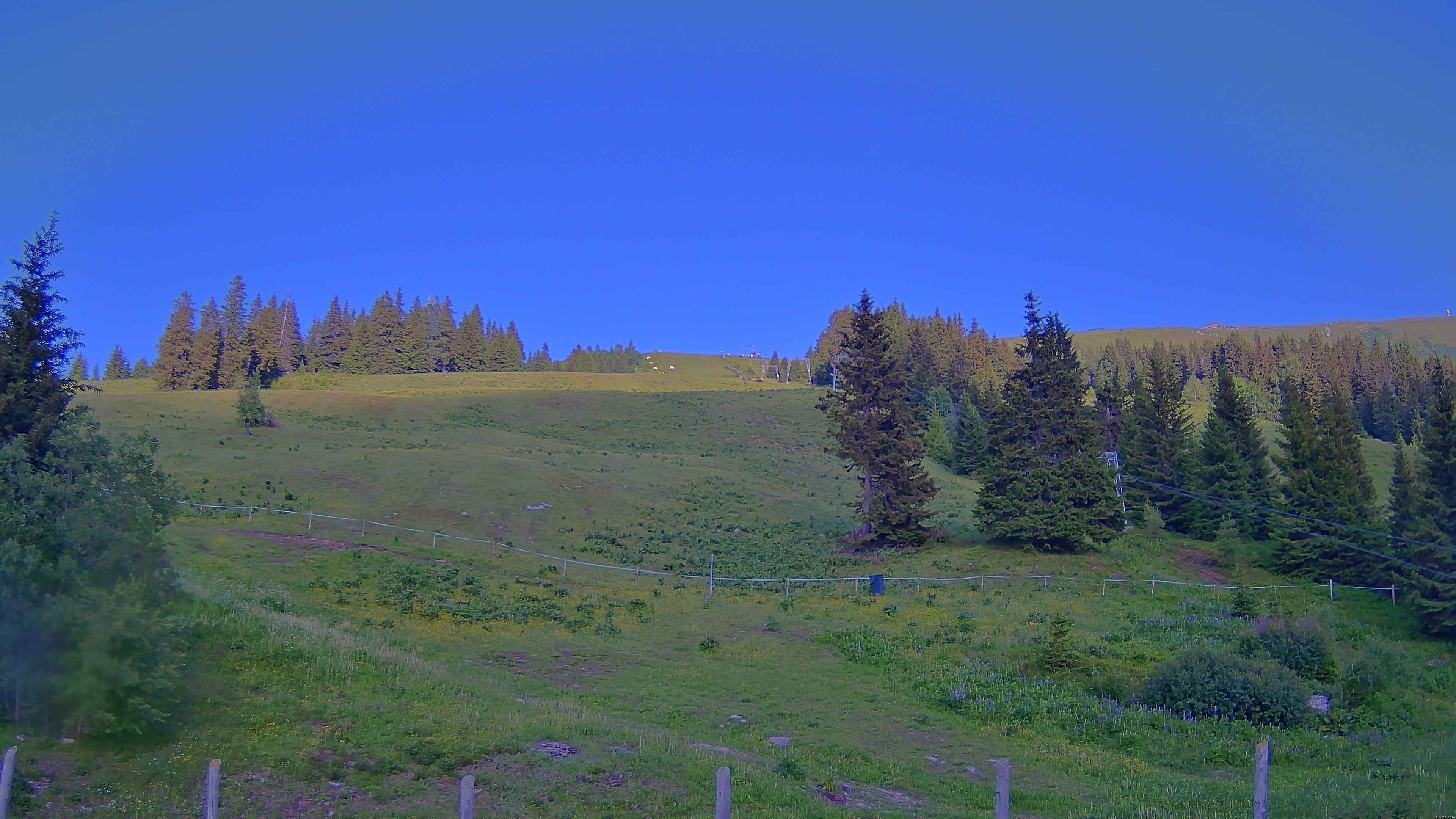 Archiv Foto Webcam Koralpe: Blick Talstation