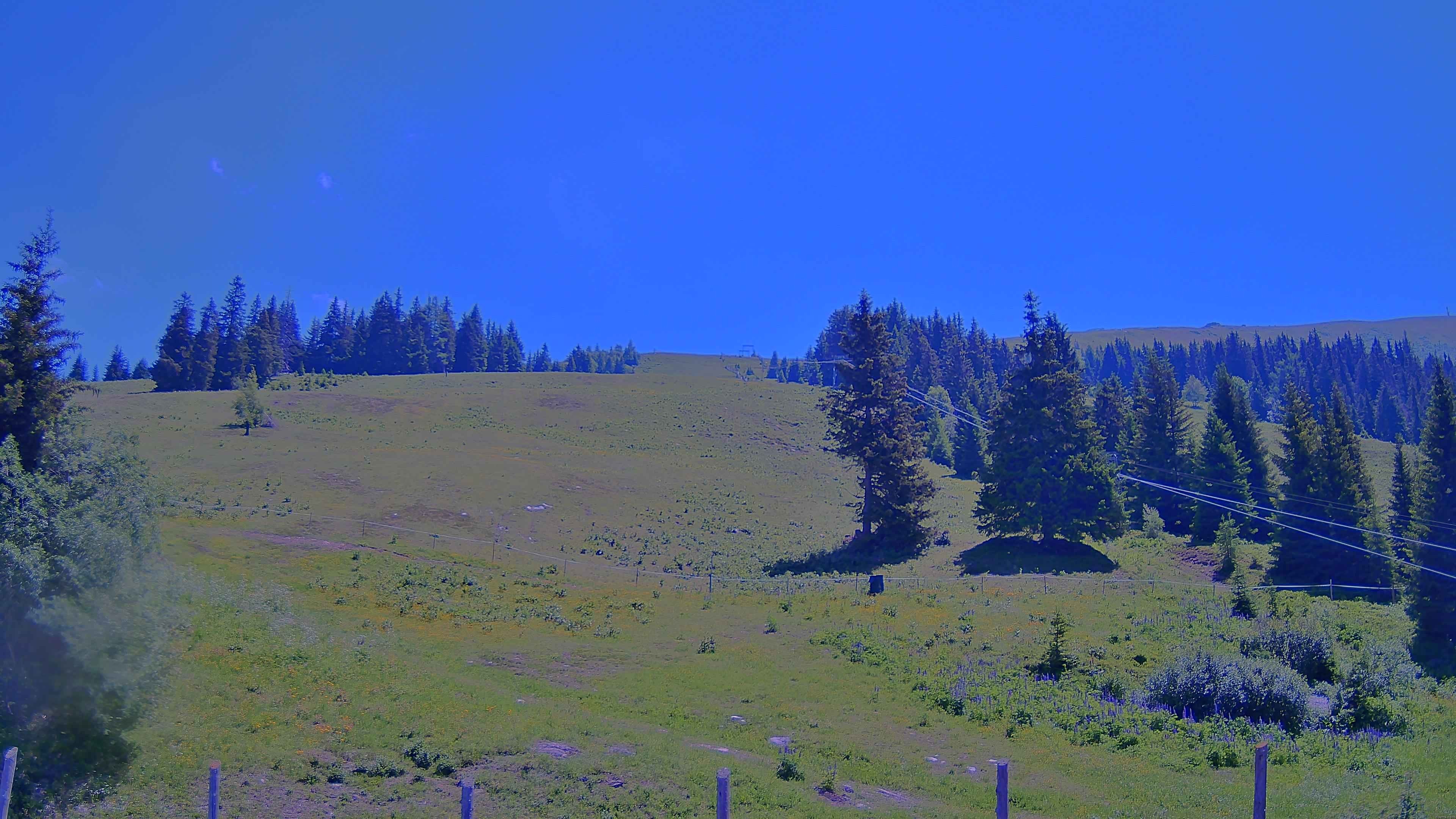 Archiv Foto Webcam Koralpe: Blick Talstation