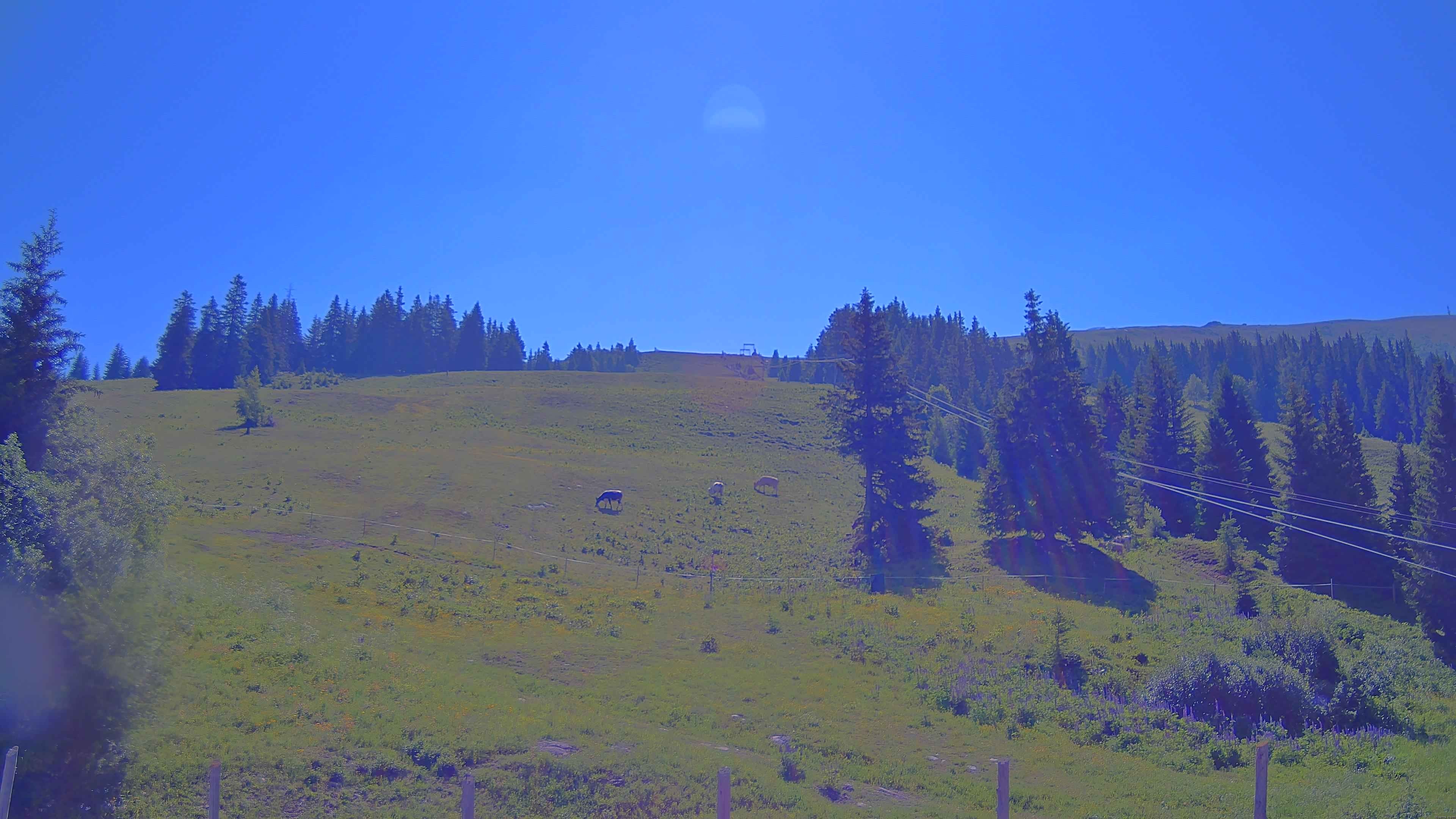 Archiv Foto Webcam Koralpe: Blick Talstation