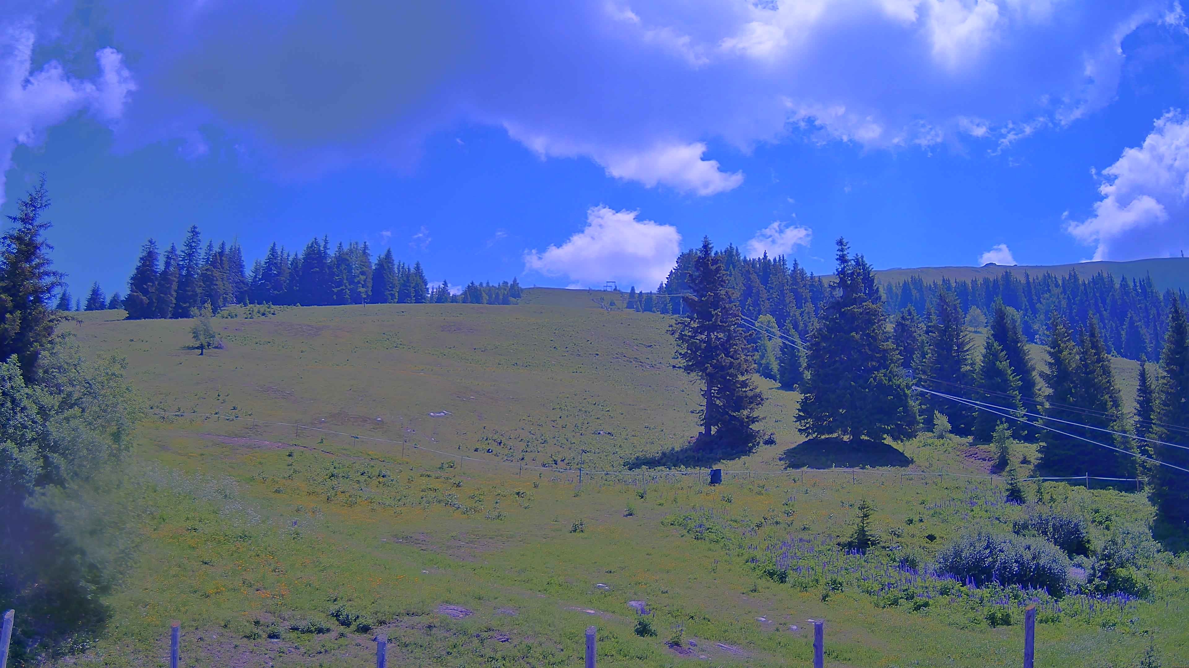 Archiv Foto Webcam Koralpe: Blick Talstation