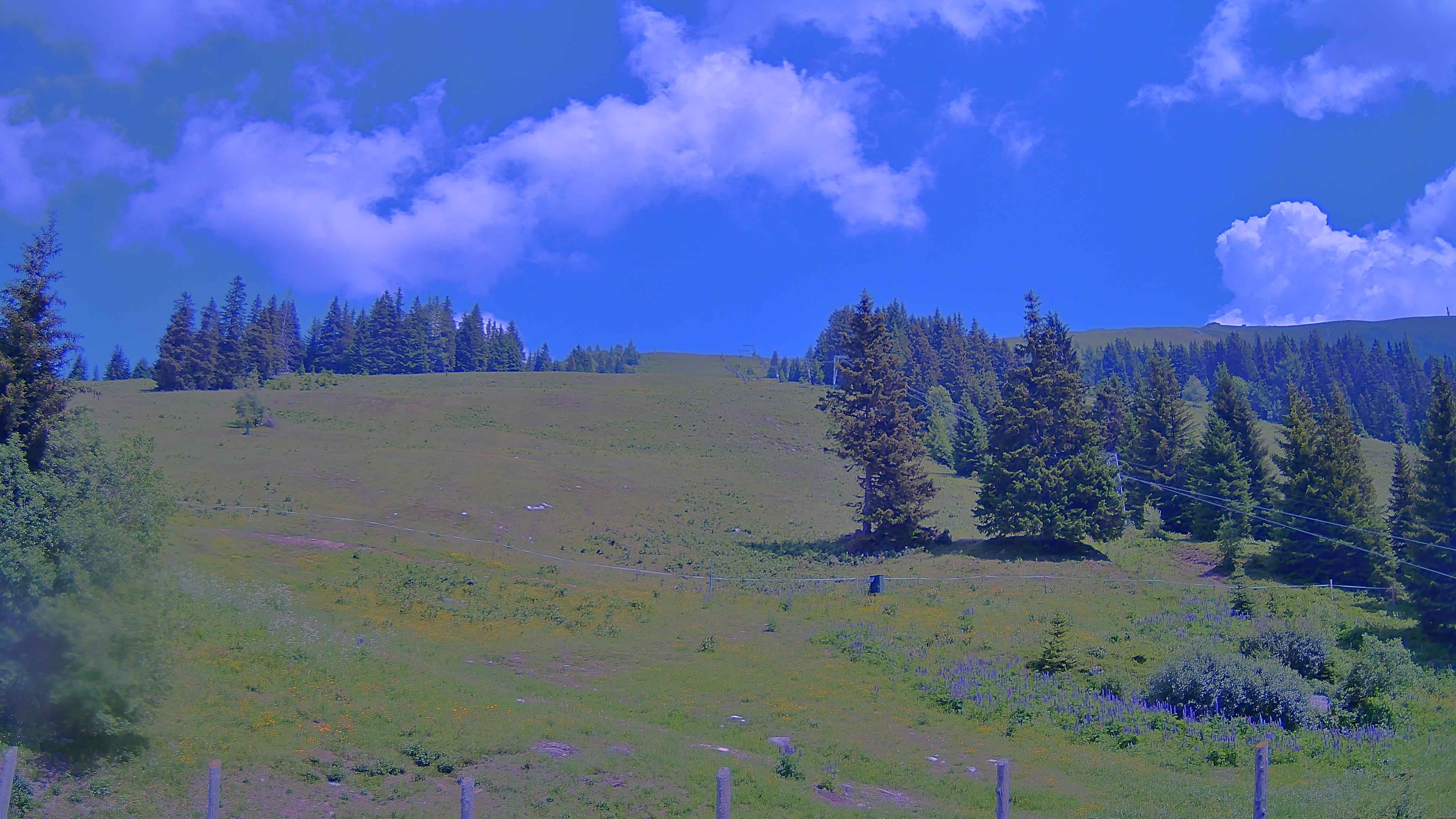 Archiv Foto Webcam Koralpe: Blick Talstation