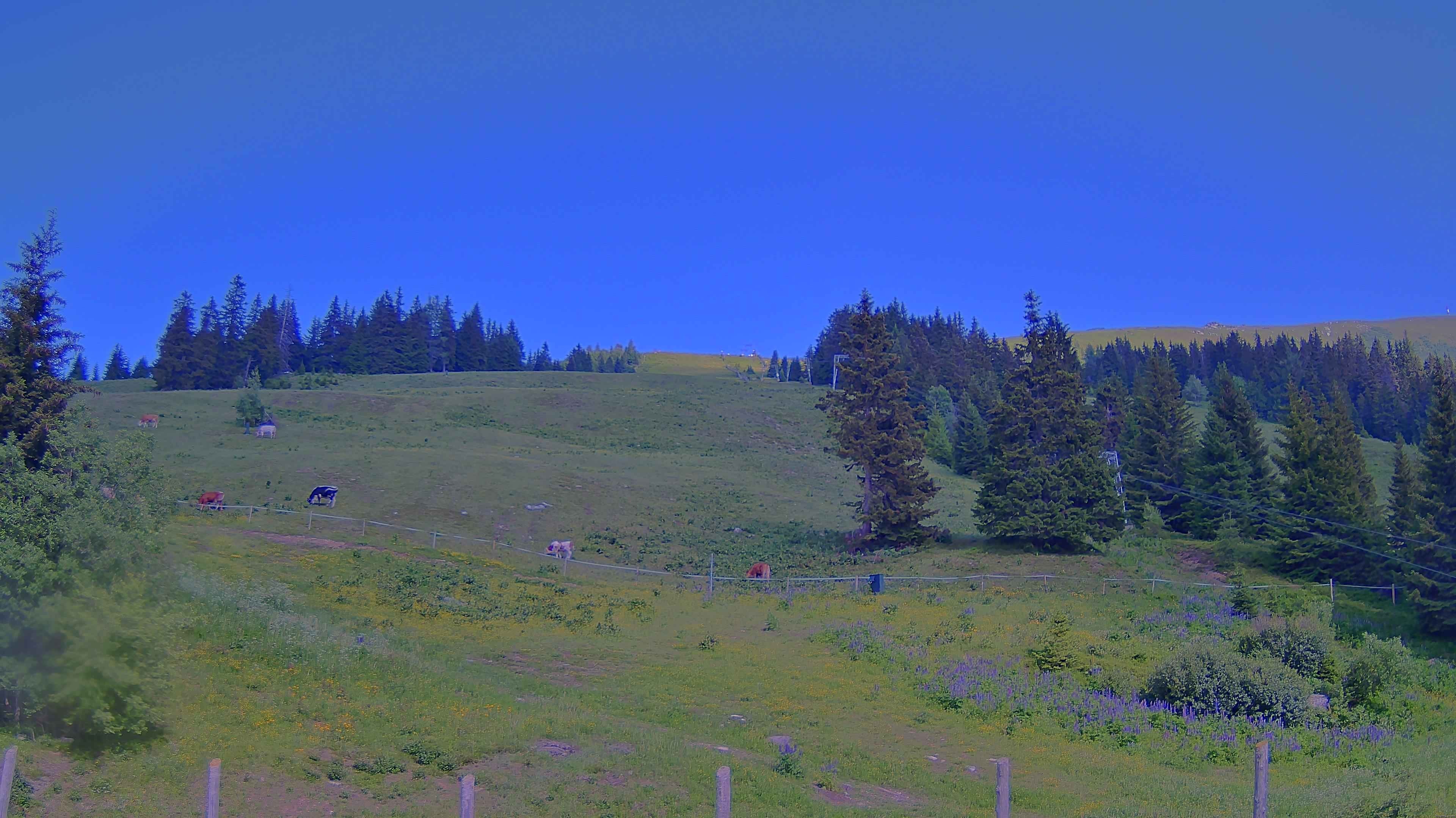 Archiv Foto Webcam Koralpe: Blick Talstation