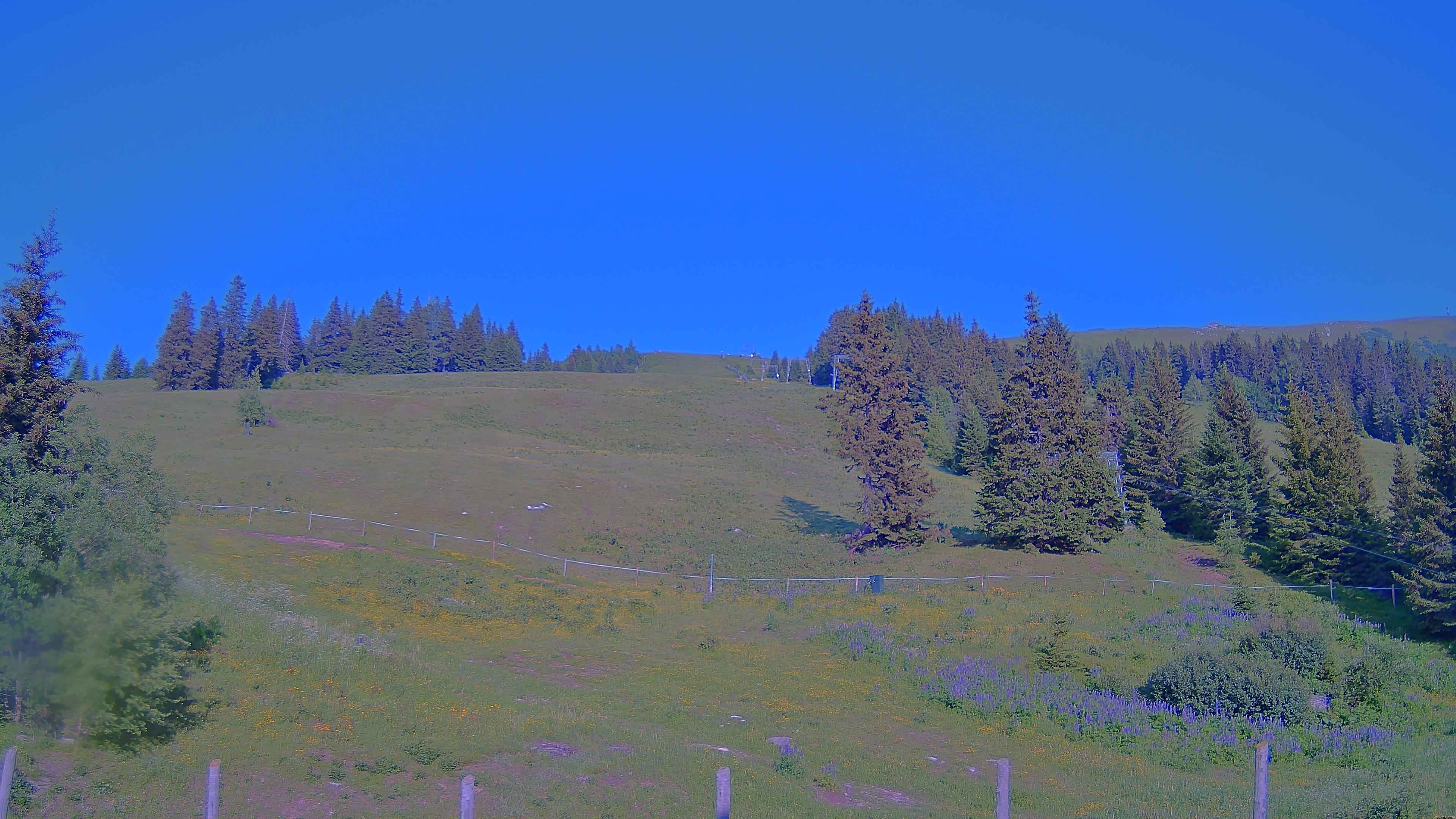 Archiv Foto Webcam Koralpe: Blick Talstation