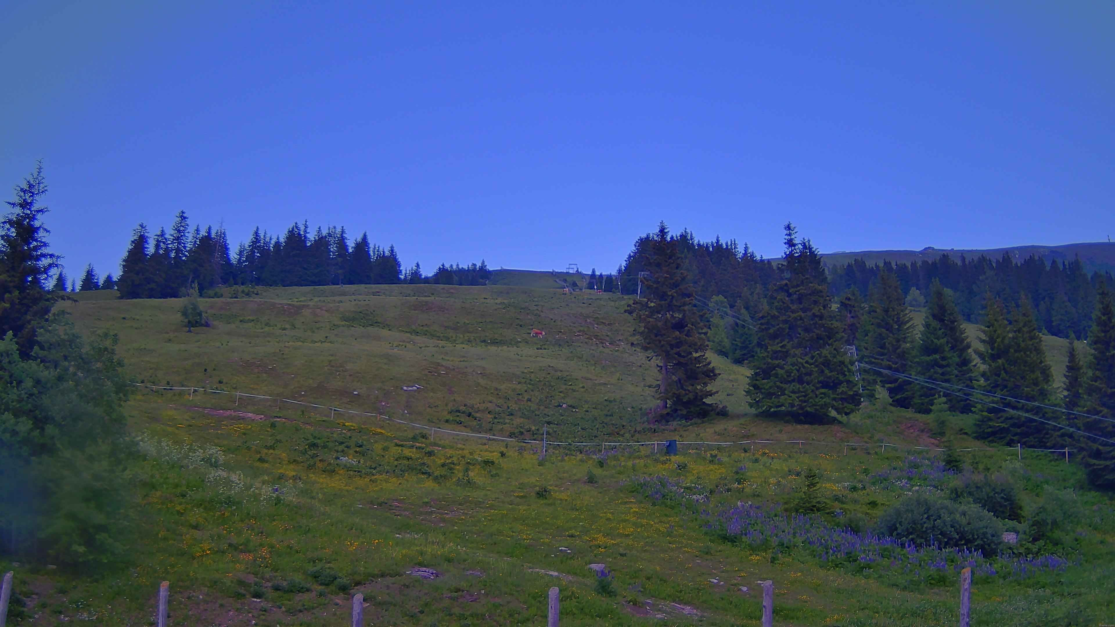 Archiv Foto Webcam Koralpe: Blick Talstation