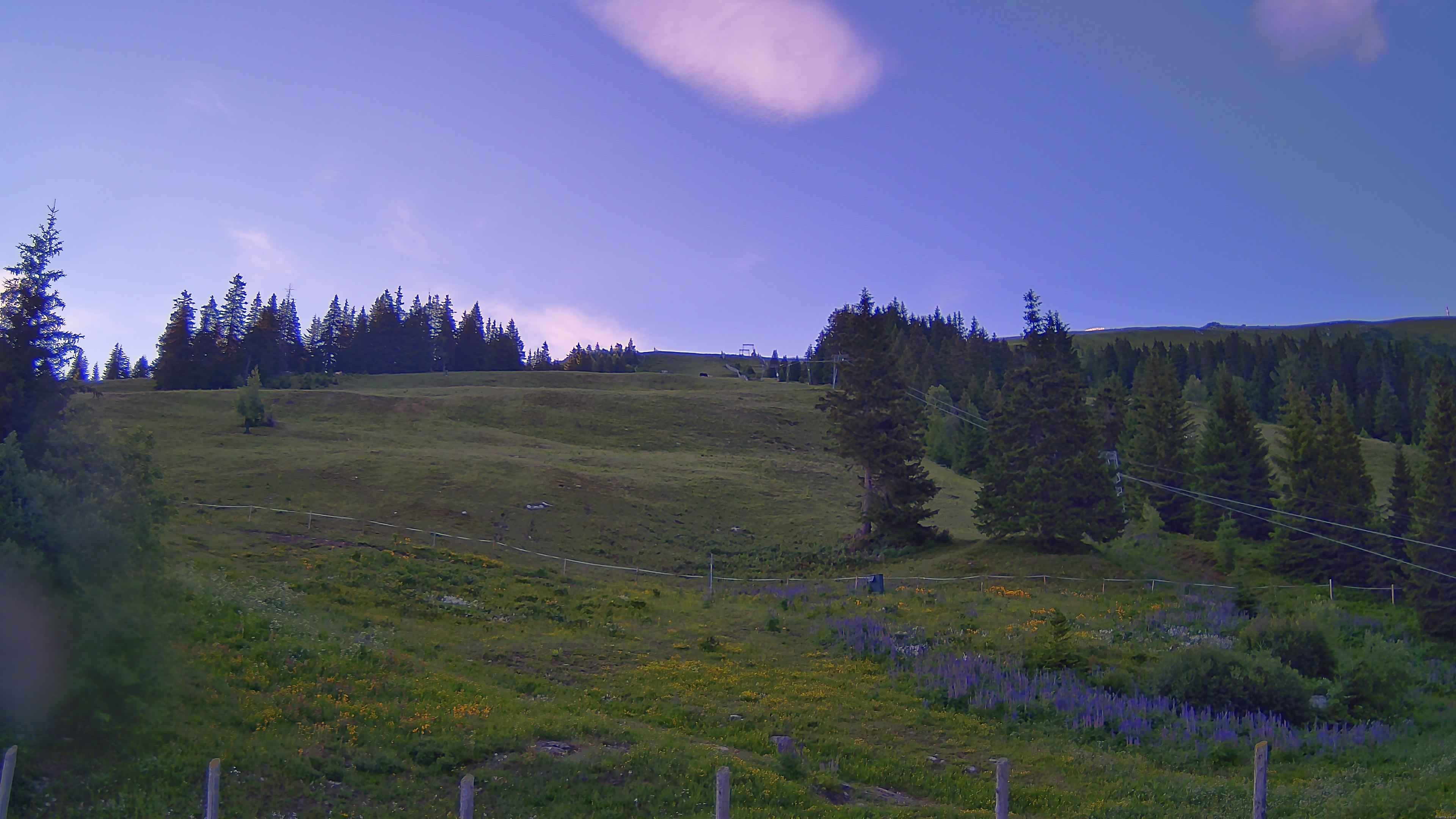 Archiv Foto Webcam Koralpe: Blick Talstation