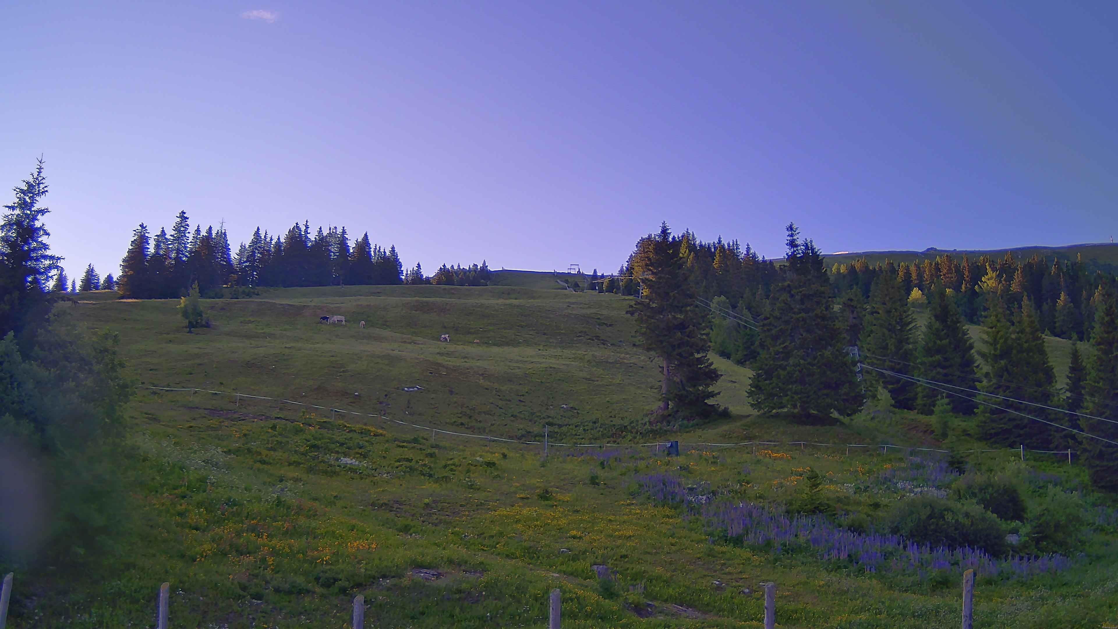 Archiv Foto Webcam Koralpe: Blick Talstation