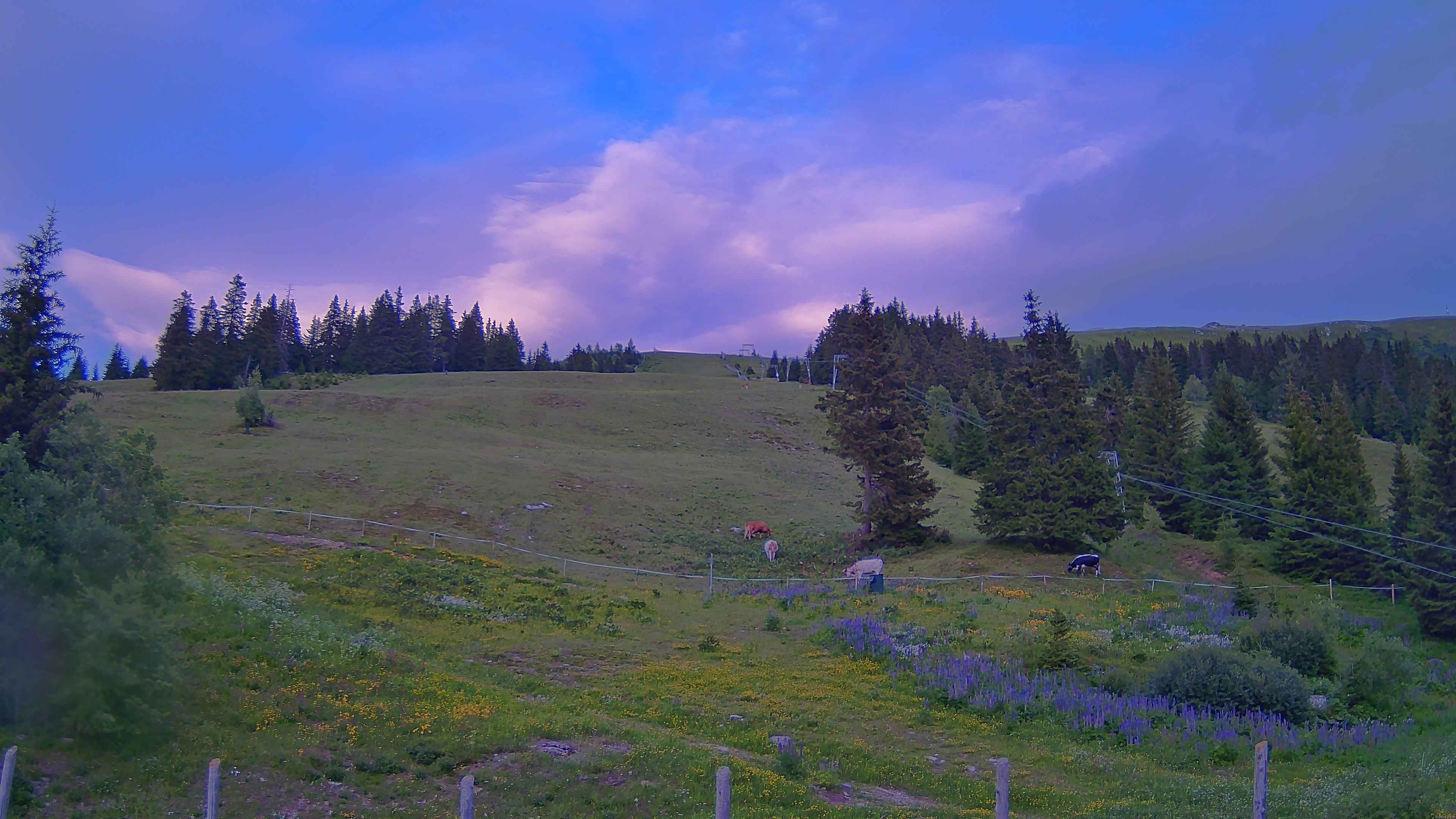 Archived image Webcam Koralpe: Base Station