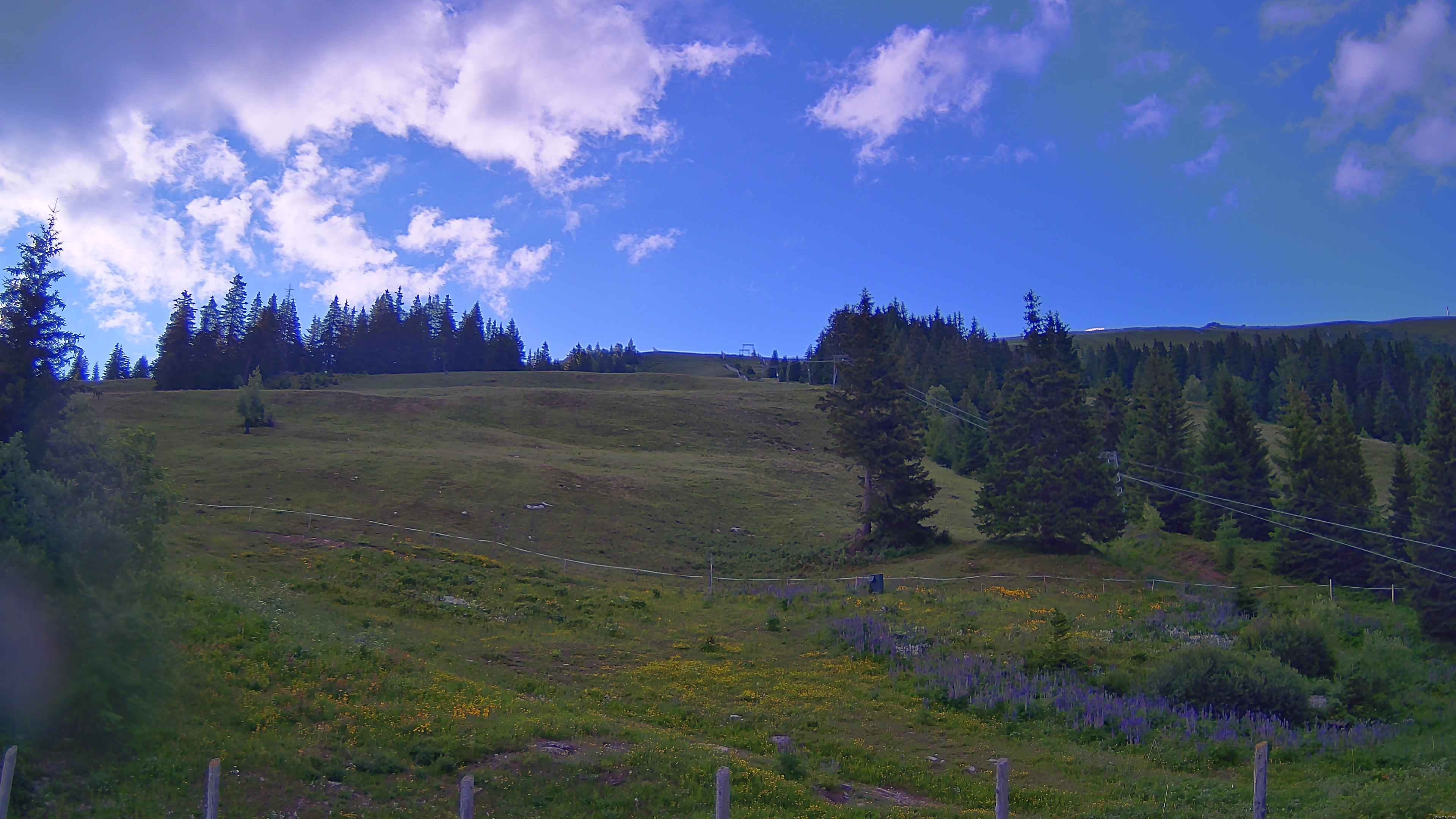 Archiv Foto Webcam Koralpe: Blick Talstation