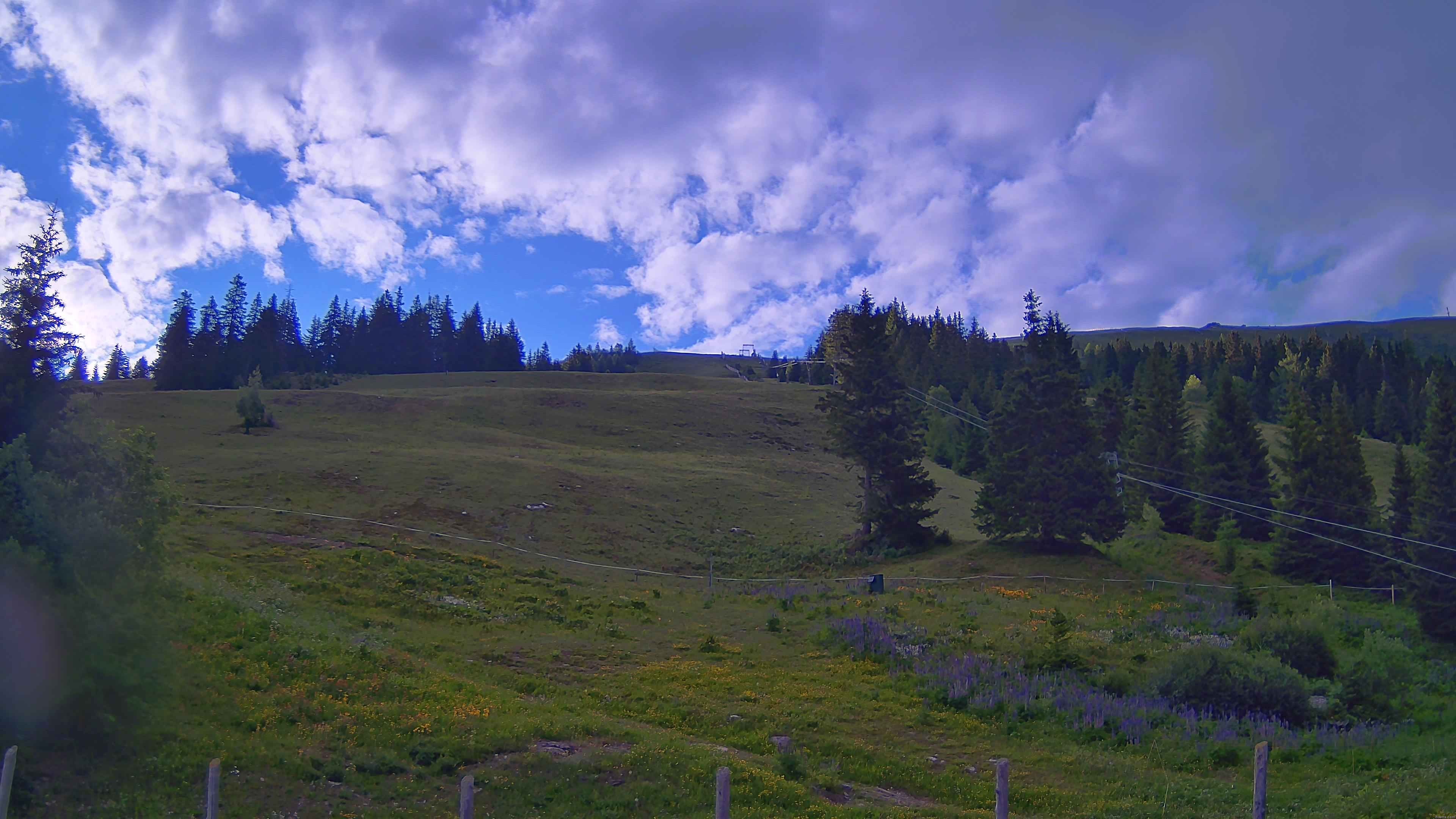 Archiv Foto Webcam Koralpe: Blick Talstation
