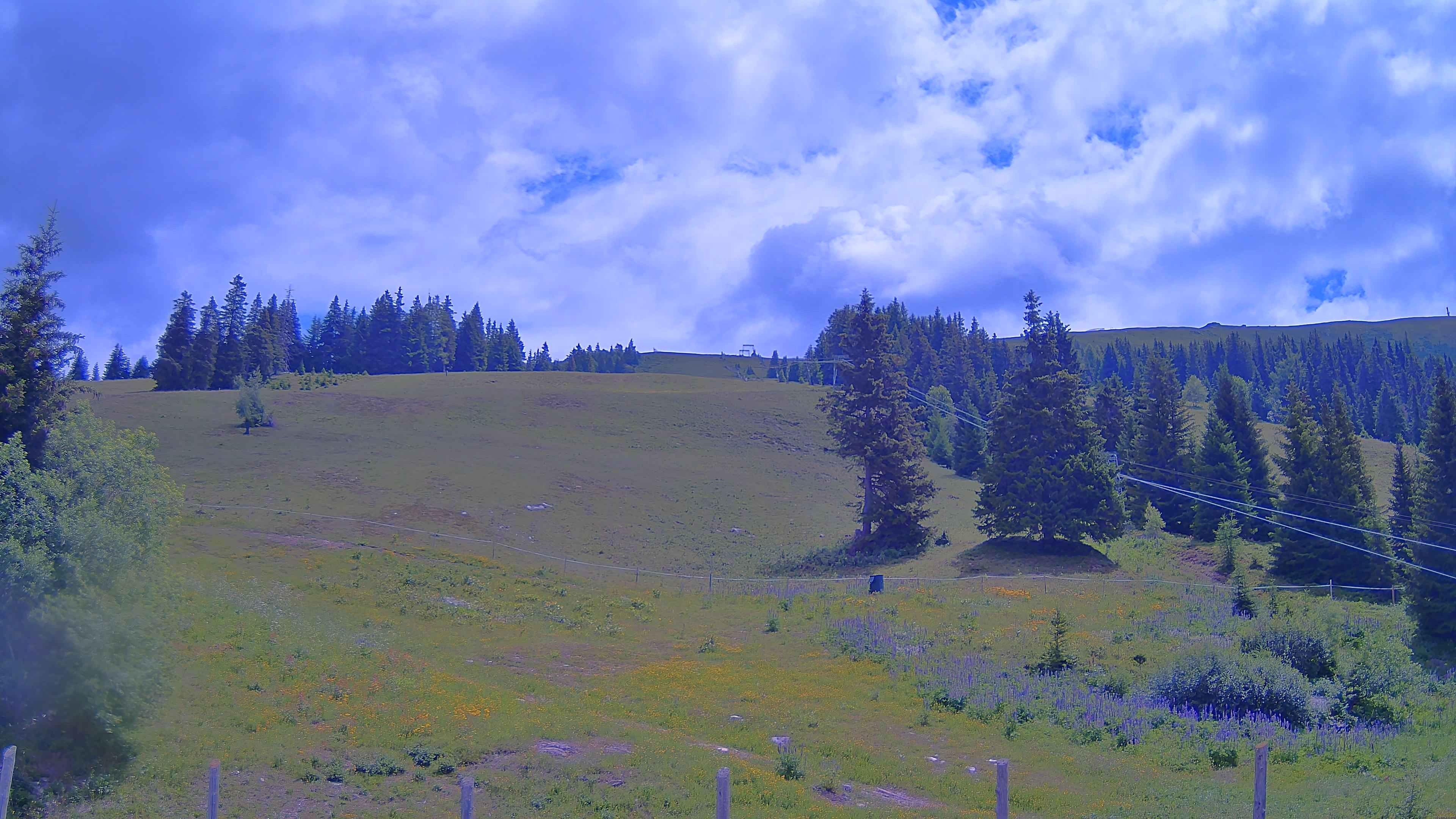 Archiv Foto Webcam Koralpe: Blick Talstation