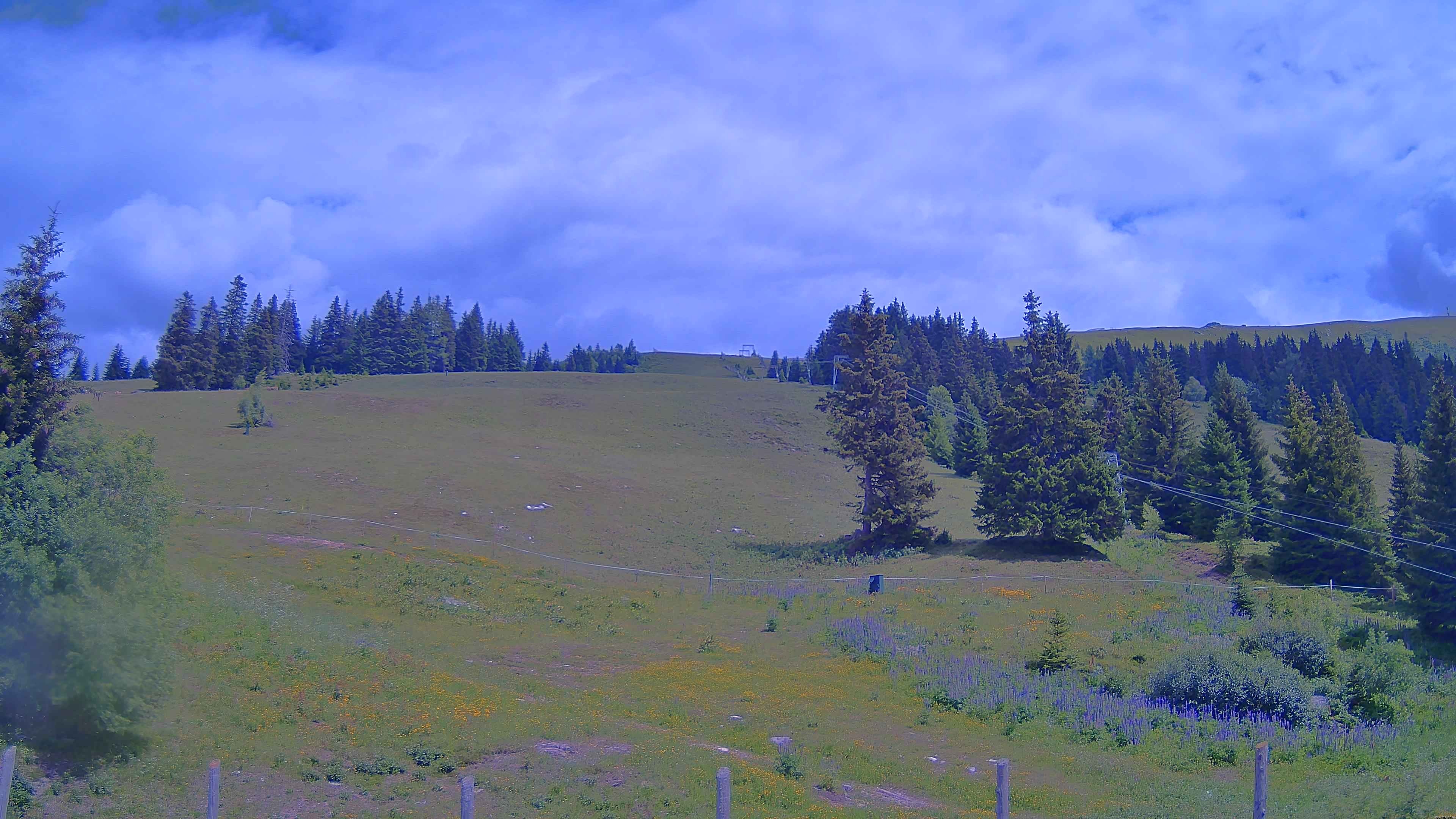 Archiv Foto Webcam Koralpe: Blick Talstation