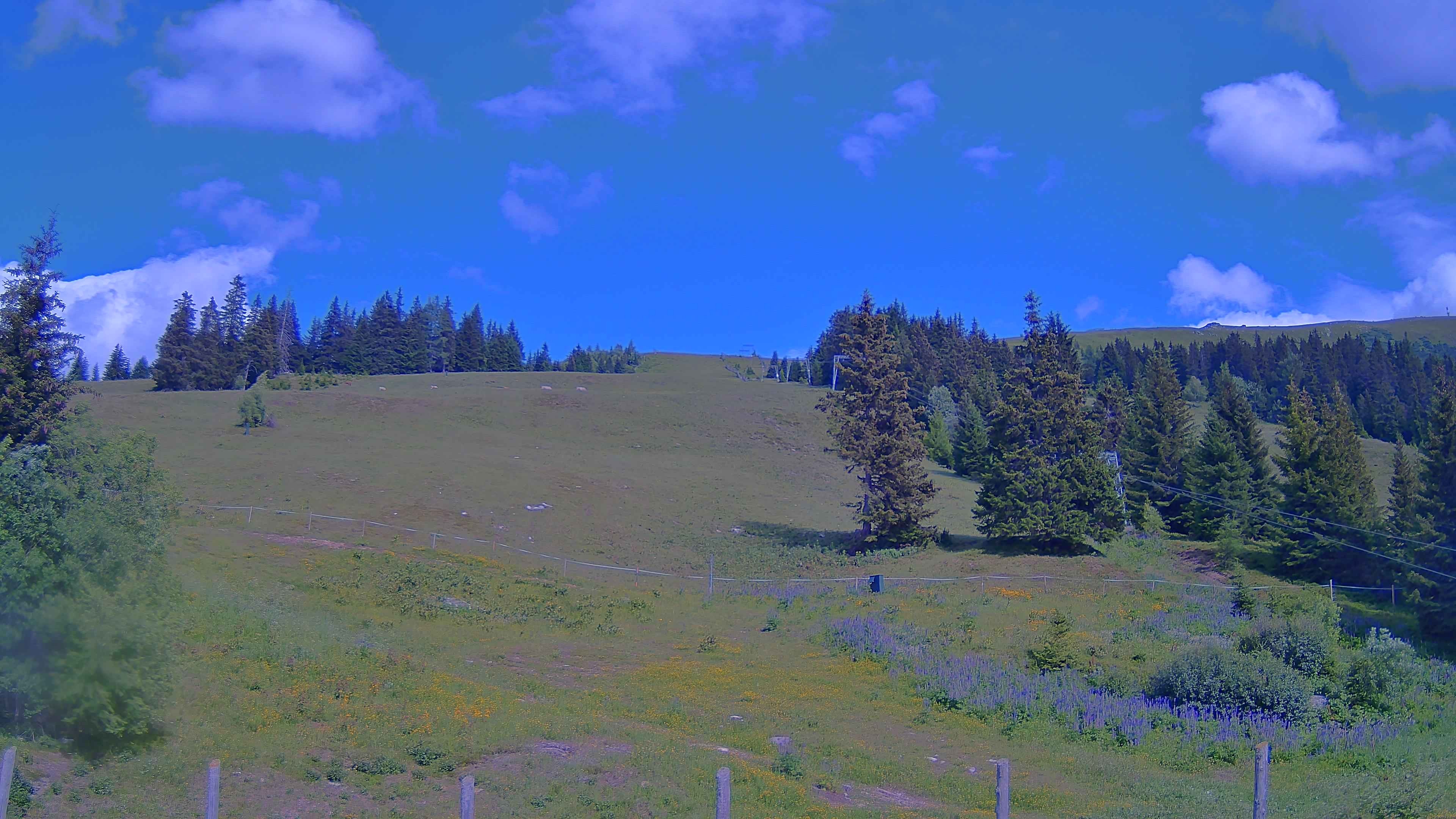 Archiv Foto Webcam Koralpe: Blick Talstation