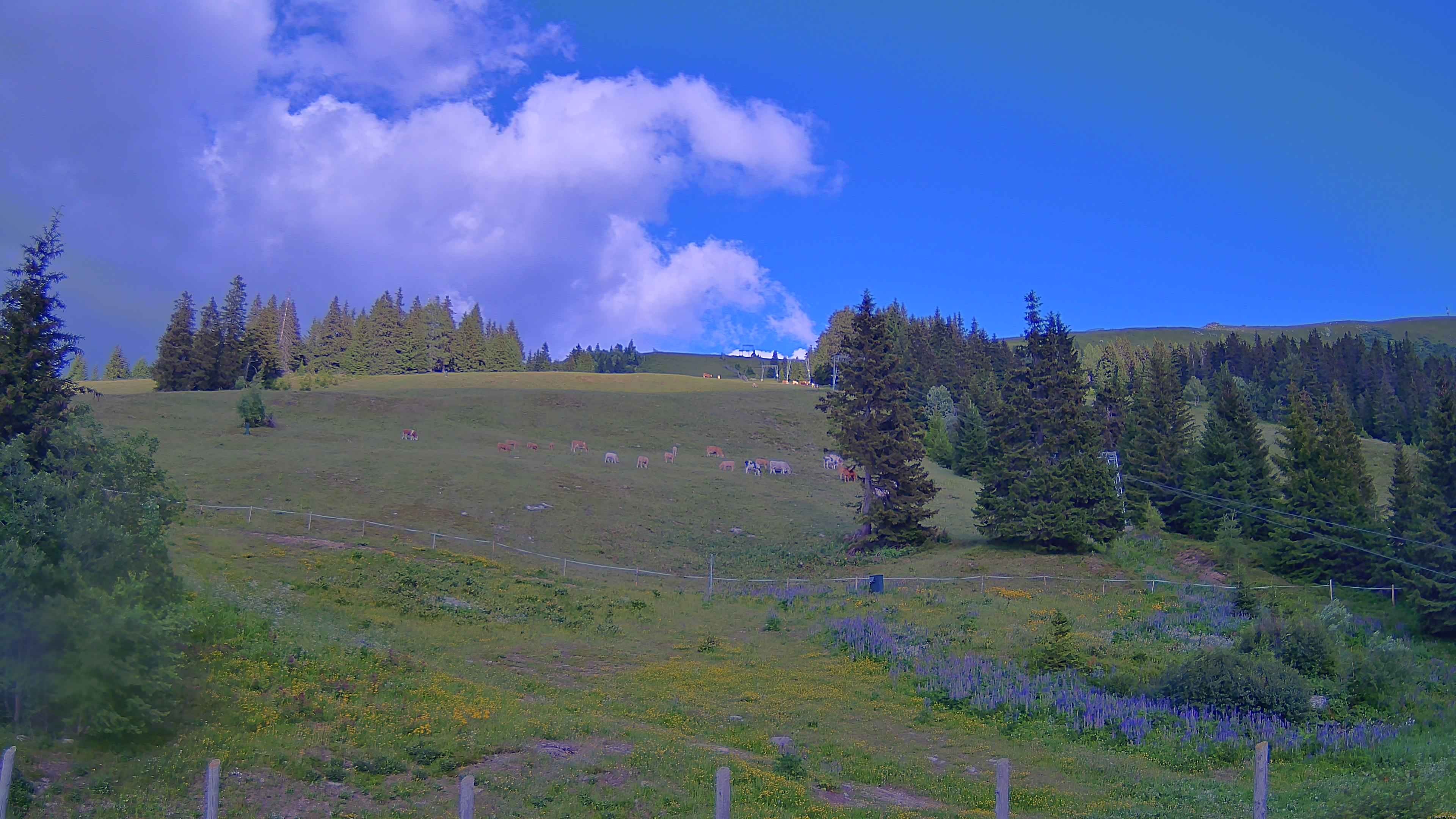 Archiv Foto Webcam Koralpe: Blick Talstation