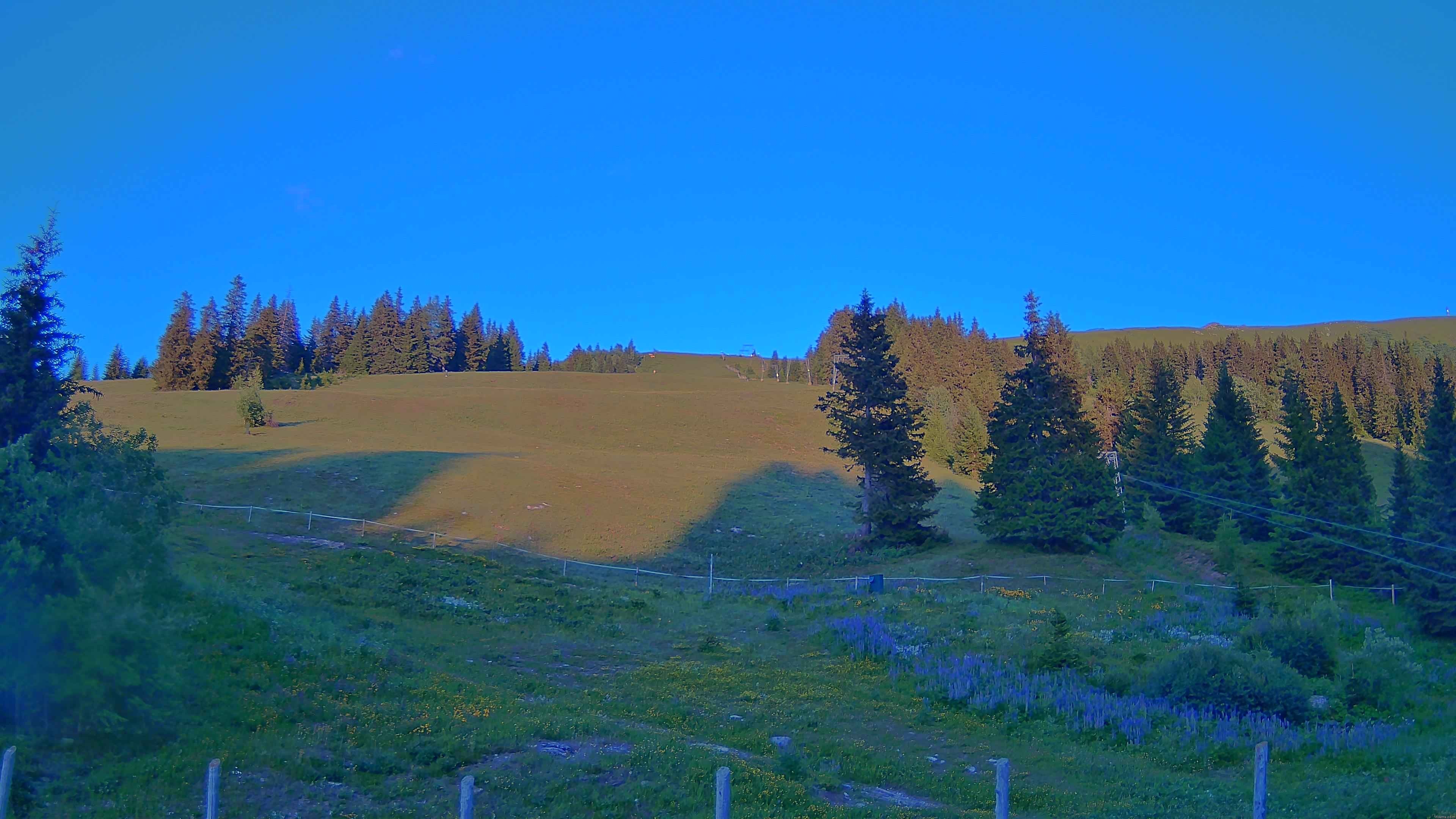 Archiv Foto Webcam Koralpe: Blick Talstation