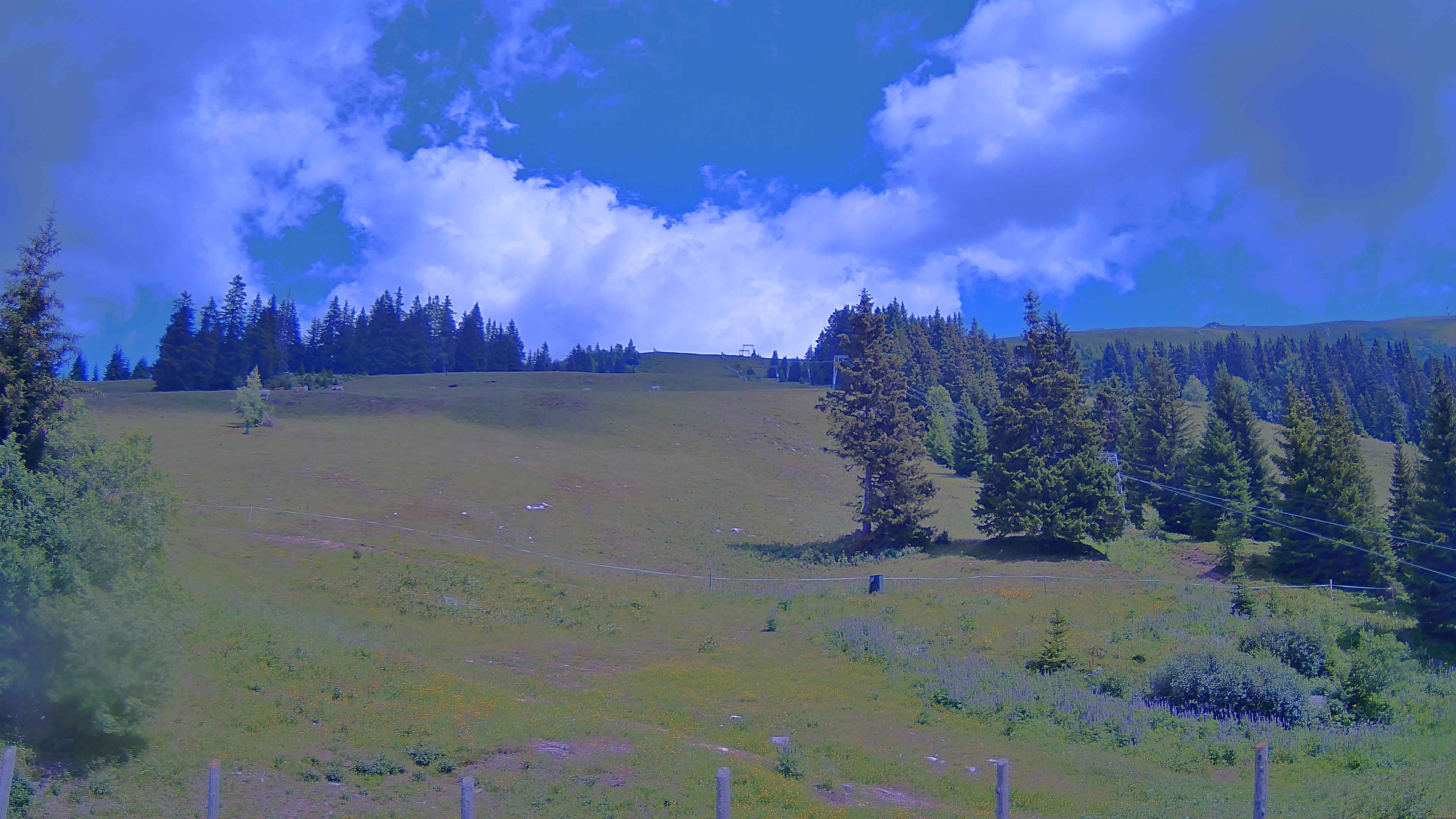Archiv Foto Webcam Koralpe: Blick Talstation