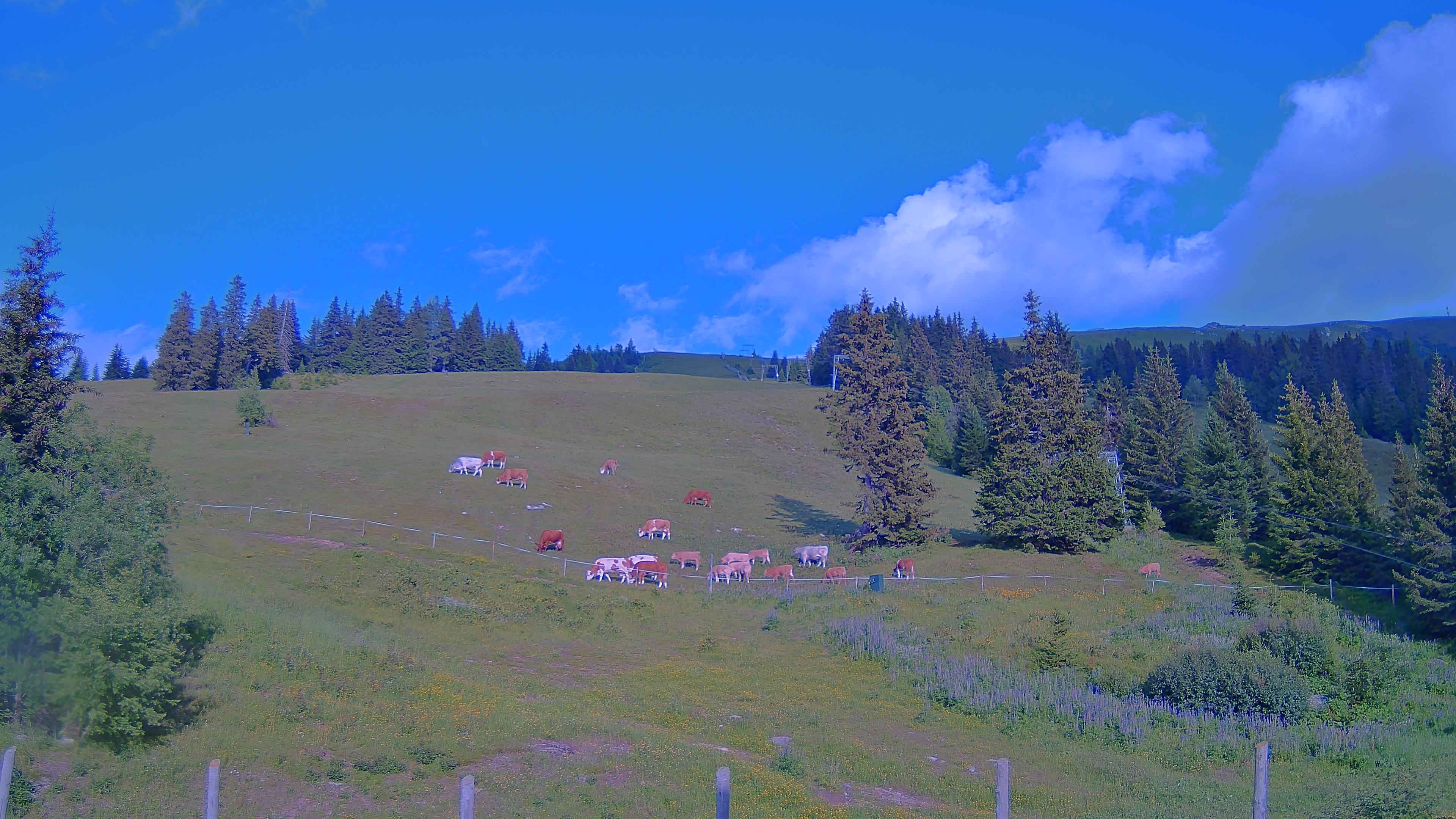 Archiv Foto Webcam Koralpe: Blick Talstation