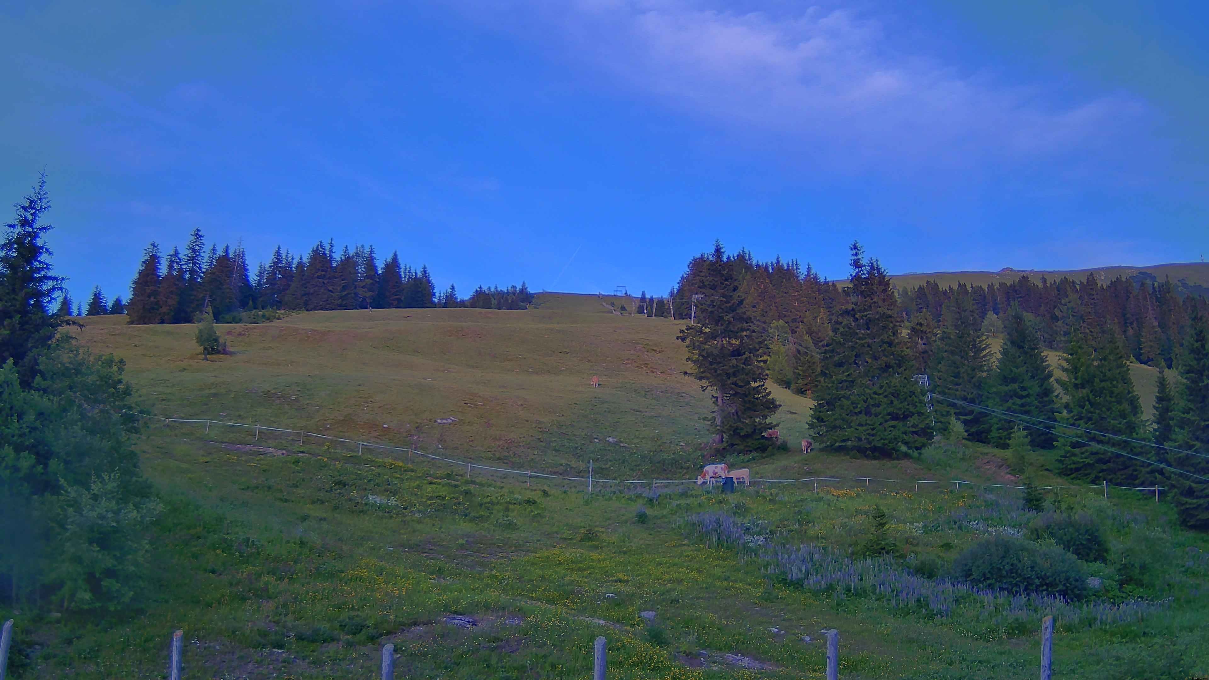 Archiv Foto Webcam Koralpe: Blick Talstation