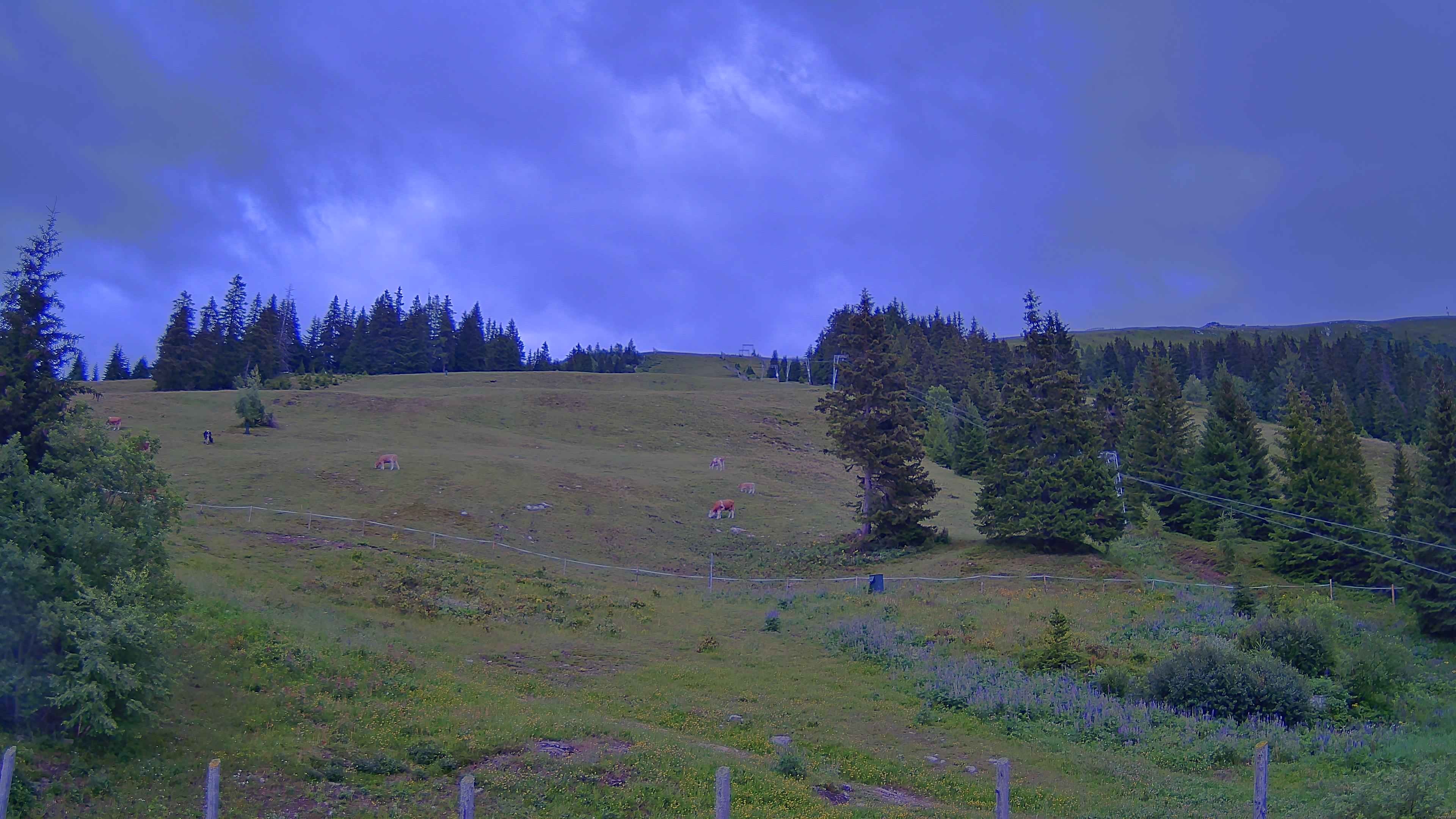 Archiv Foto Webcam Koralpe: Blick Talstation