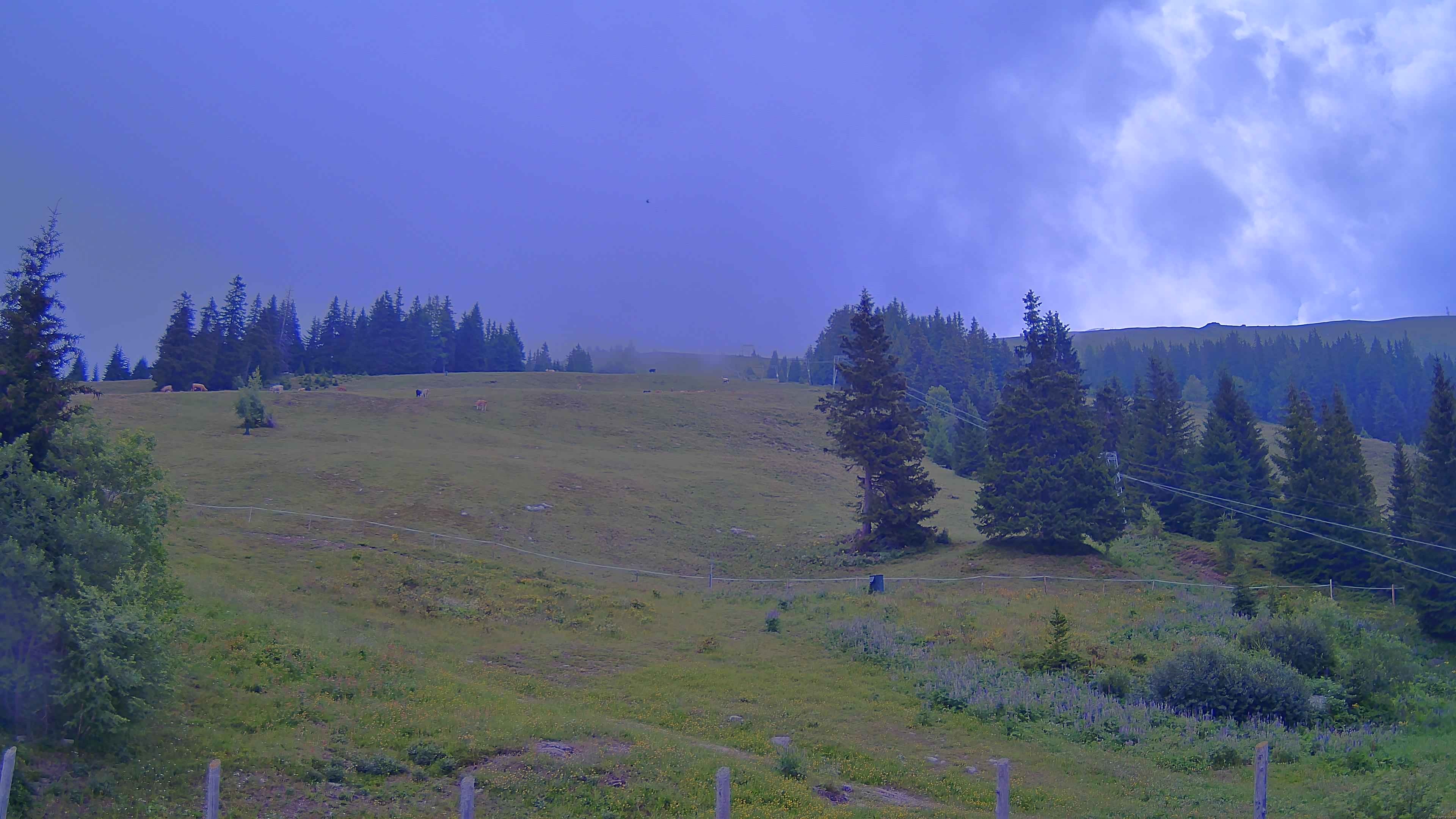 Archiv Foto Webcam Koralpe: Blick Talstation