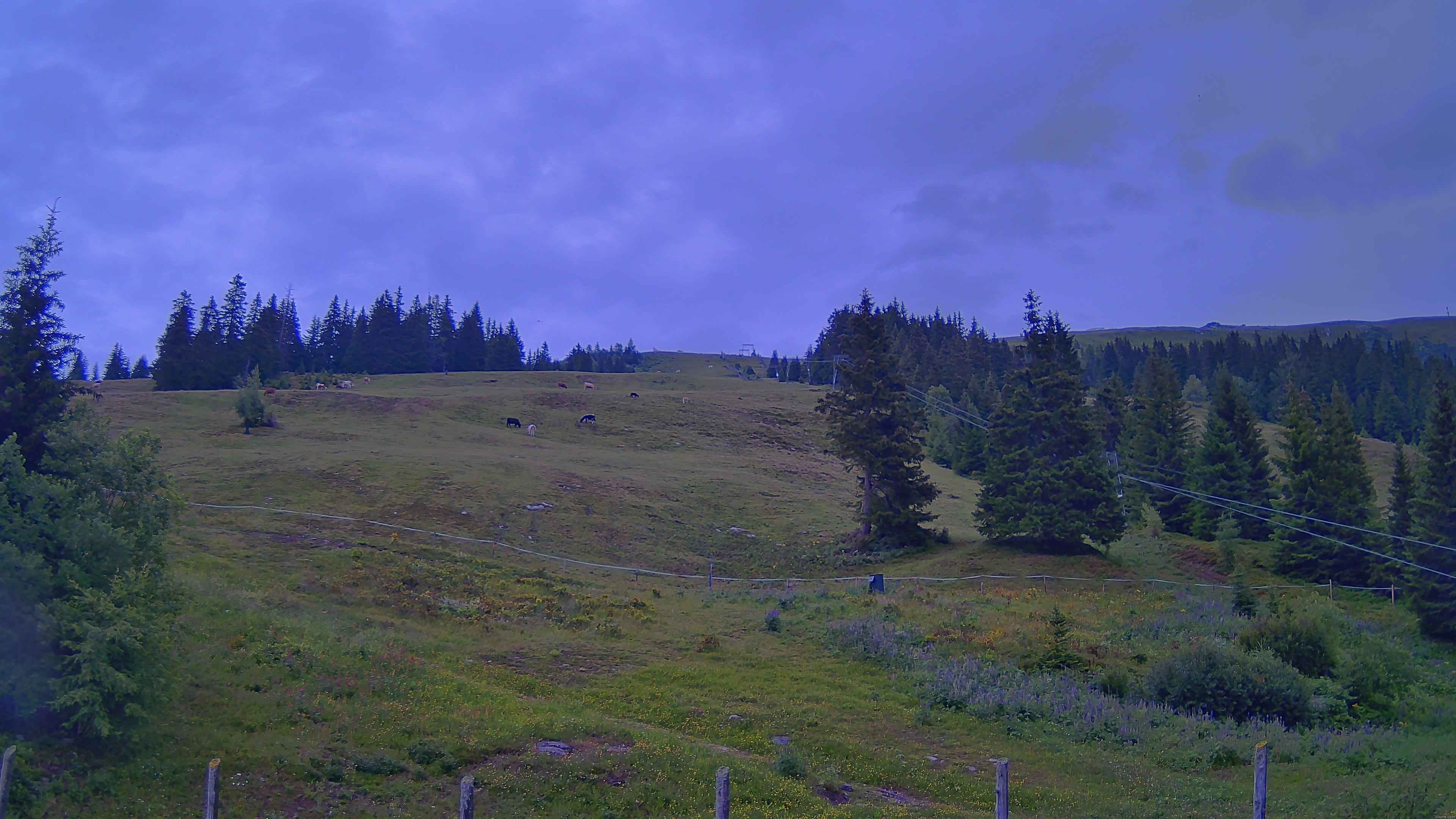 Archiv Foto Webcam Koralpe: Blick Talstation