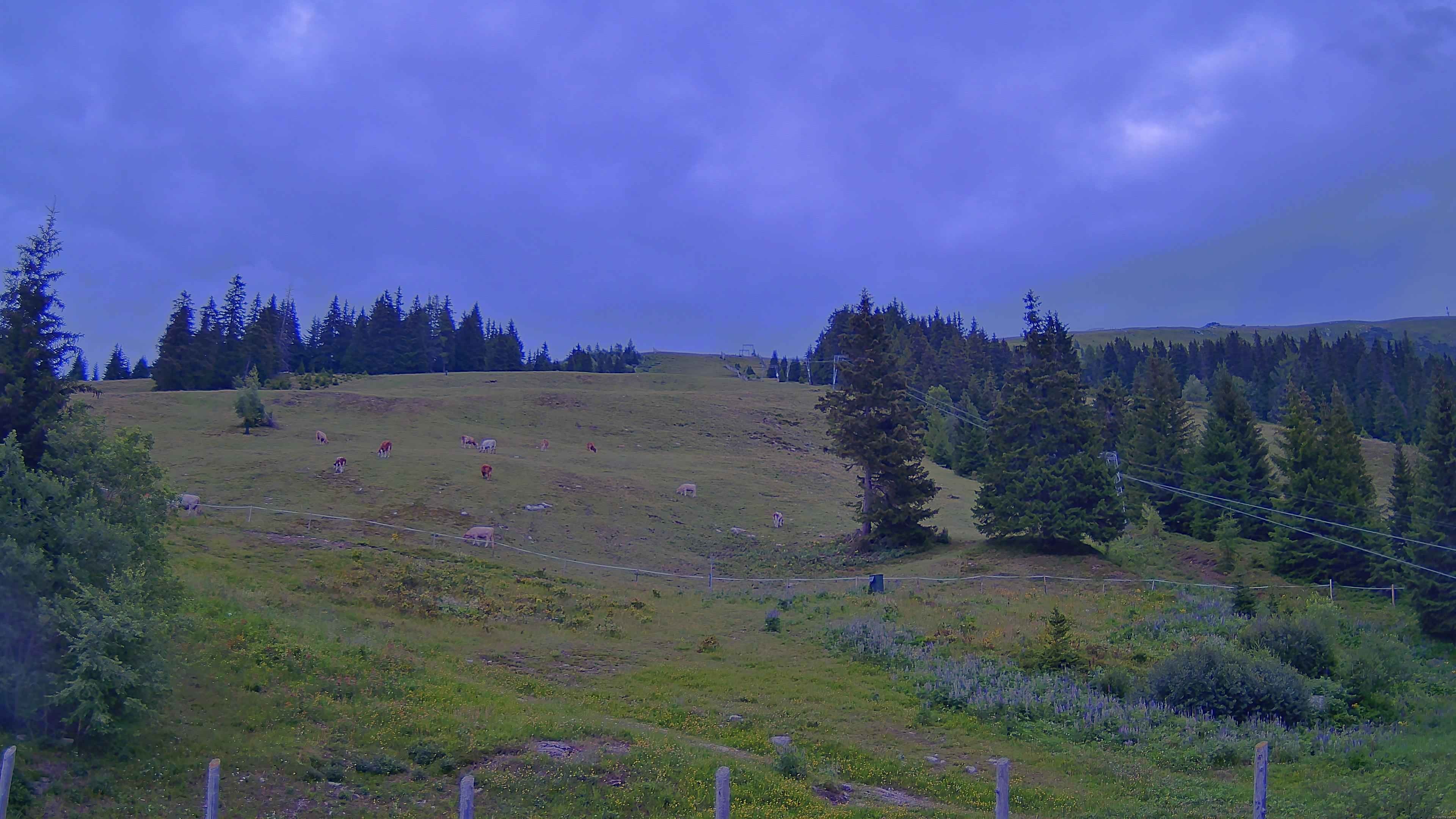 Archiv Foto Webcam Koralpe: Blick Talstation