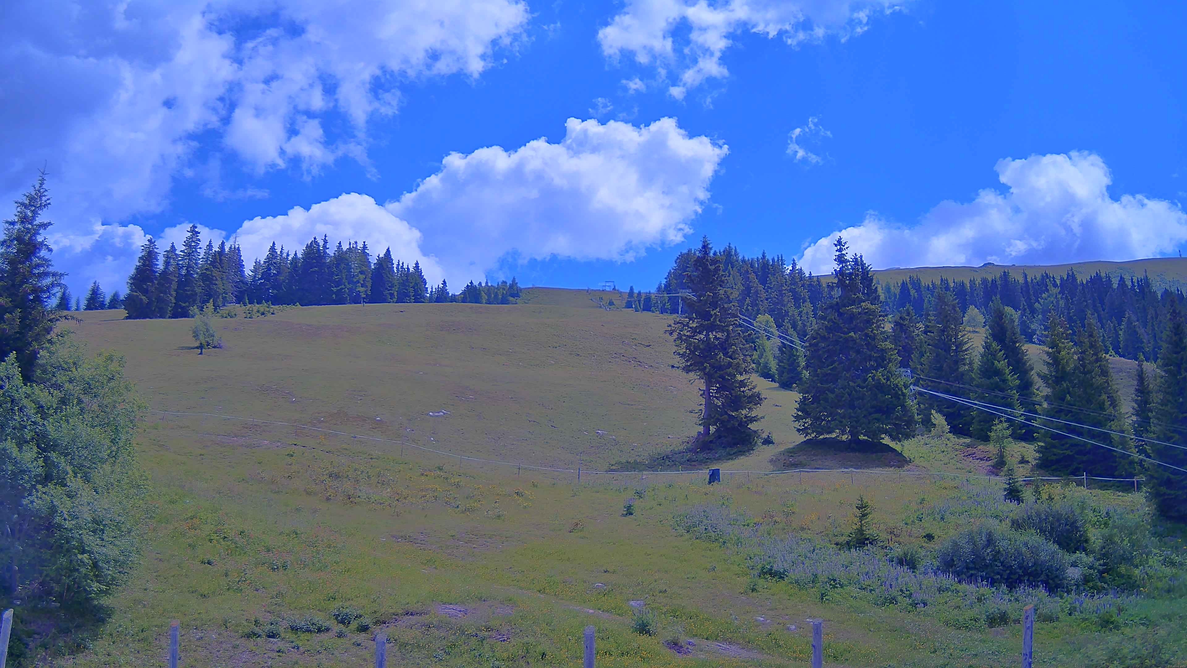 Archiv Foto Webcam Koralpe: Blick Talstation