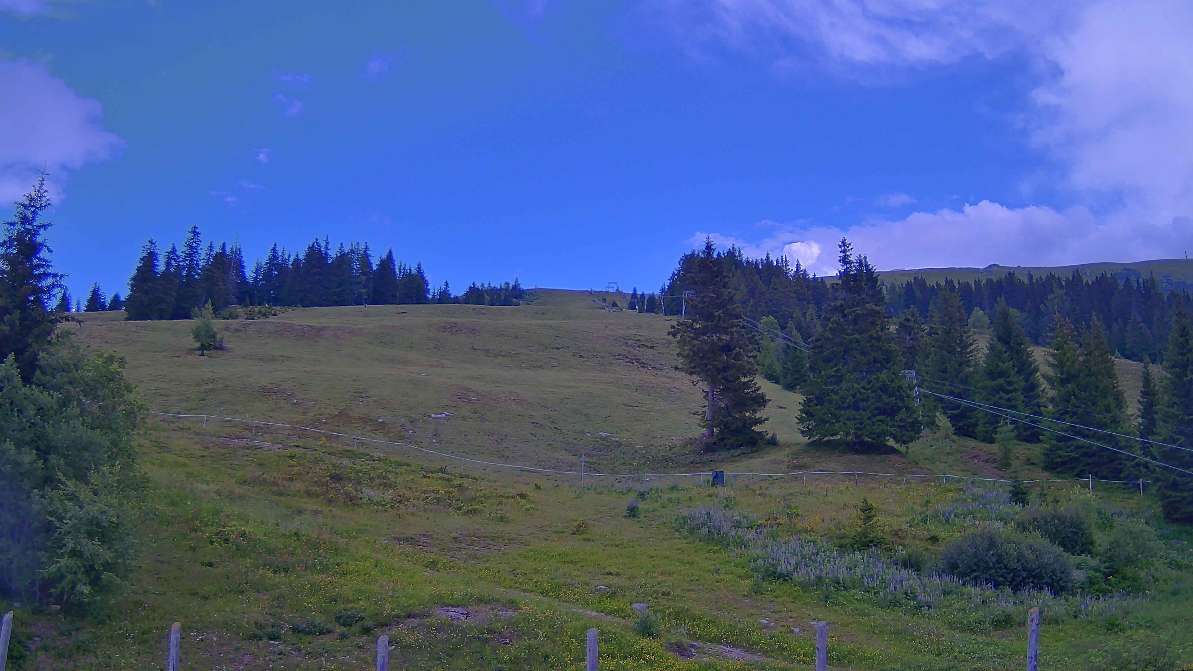 Archiv Foto Webcam Koralpe: Blick Talstation
