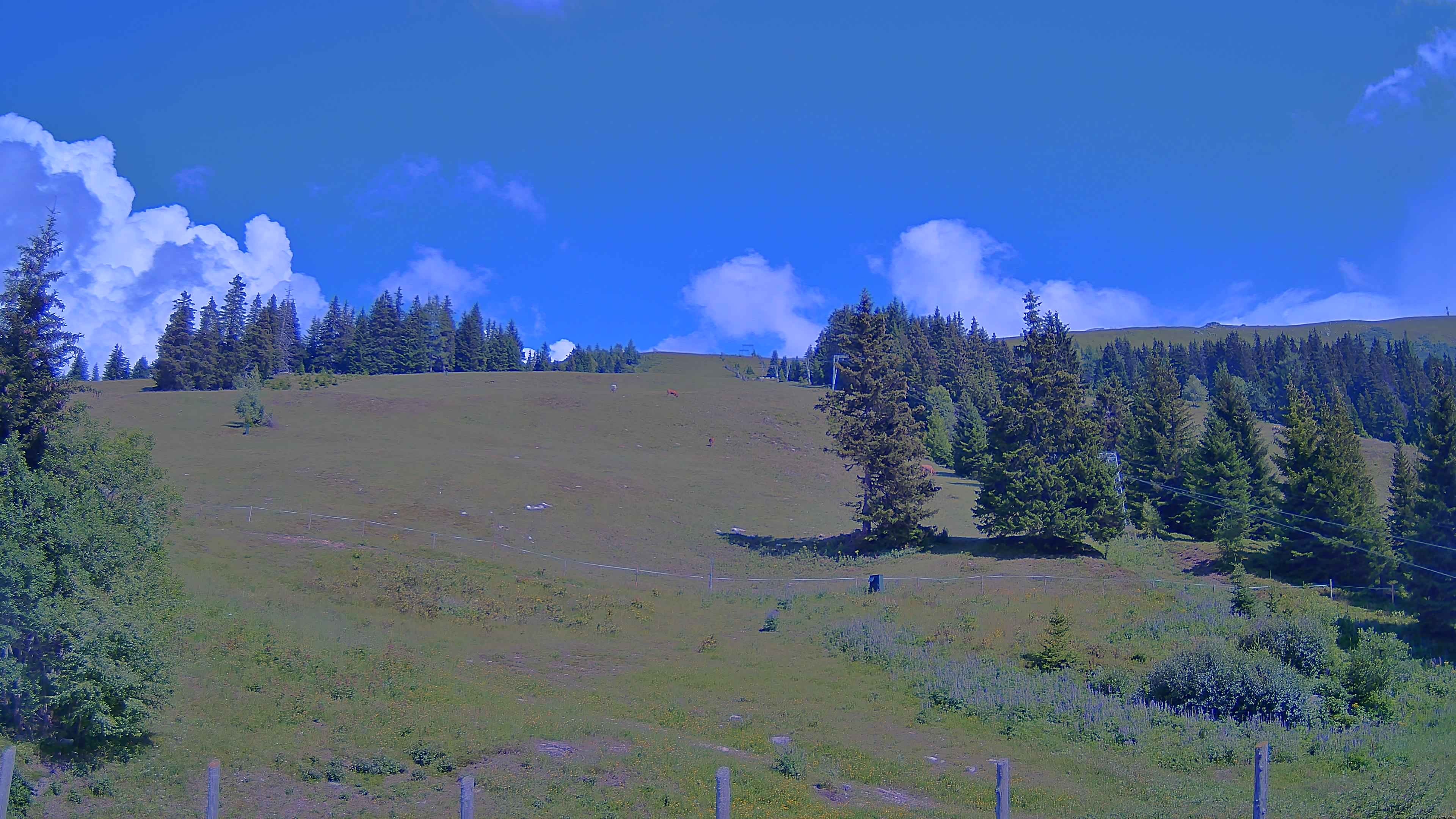 Archiv Foto Webcam Koralpe: Blick Talstation